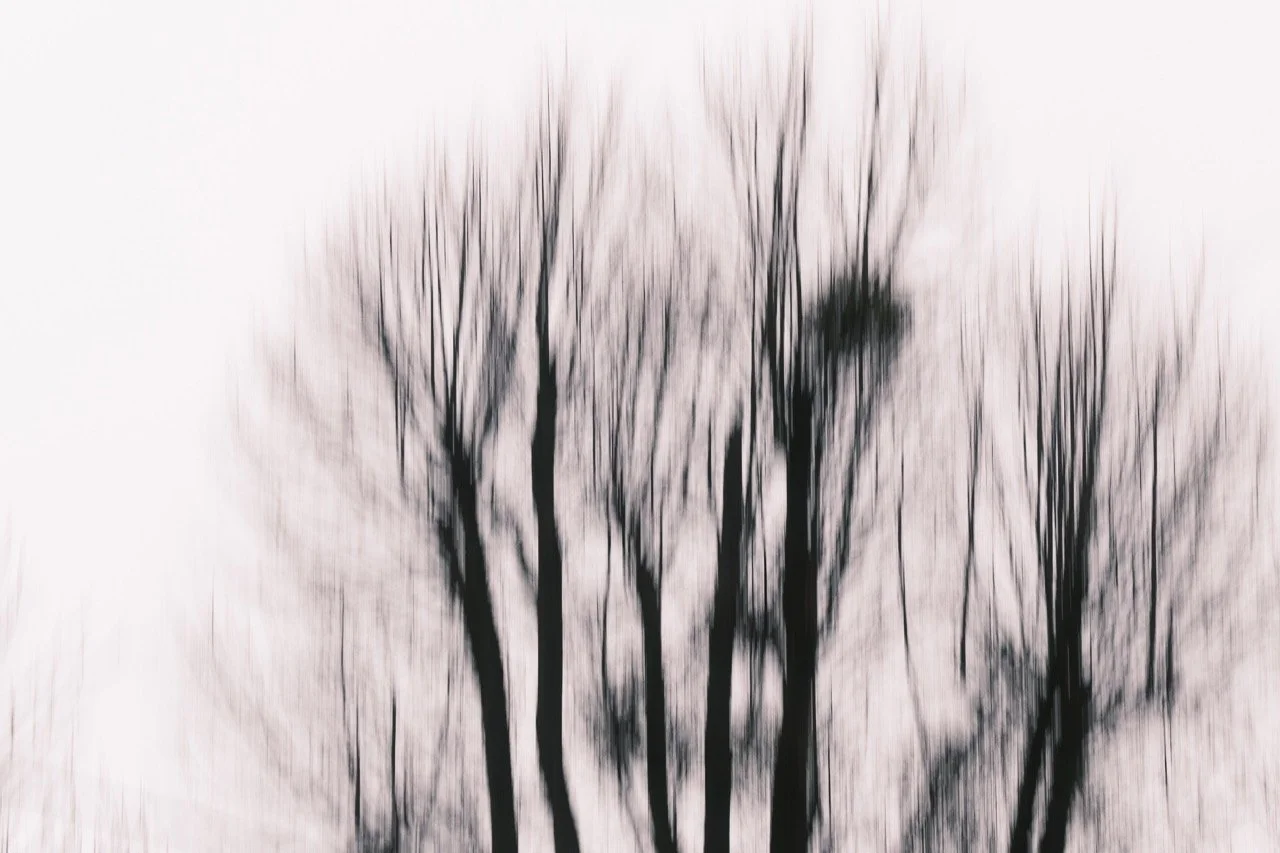 Andrea Braun - Strichcode