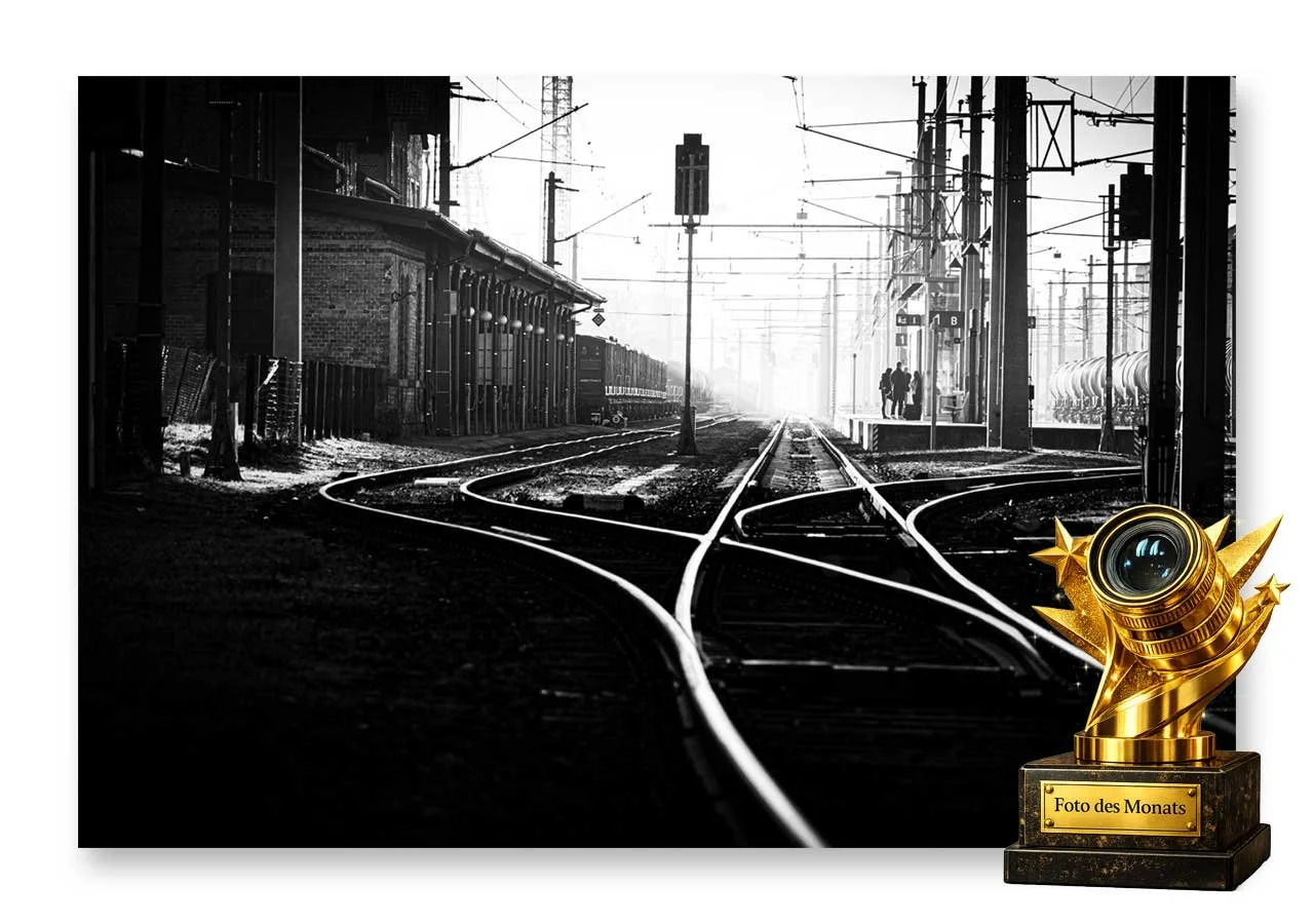 Ferdinand Schlick - "Lines & Light" - Februar 2026