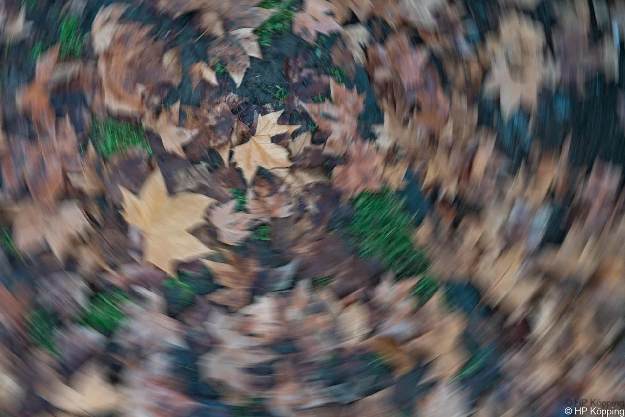 Hans Peter Köpping - Blätterstrudel