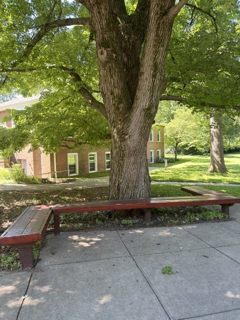Outdoor seating
