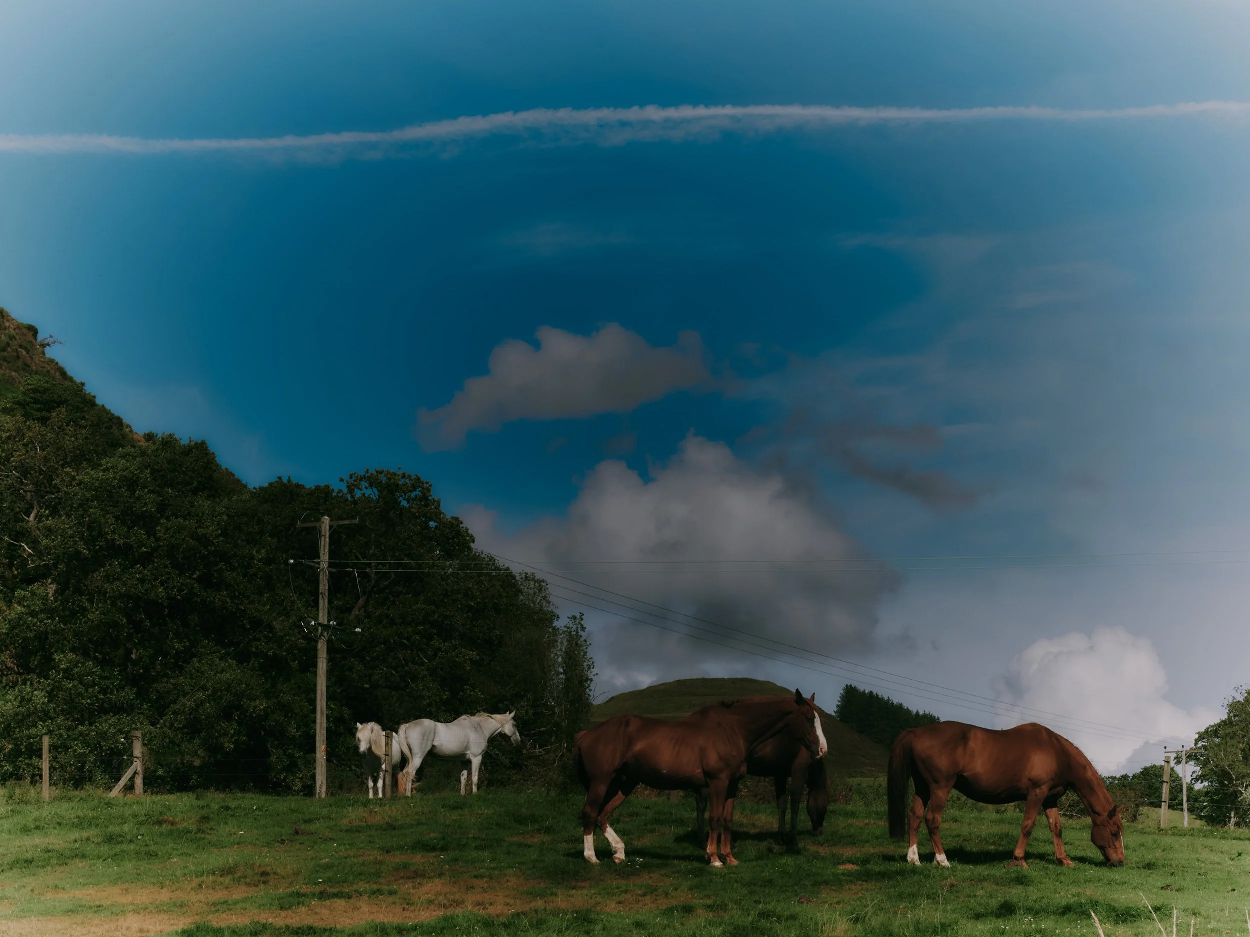 scotland-by-carys-huws-4-web.jpg
