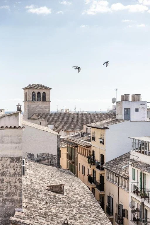  Location Concepció by Nobis 