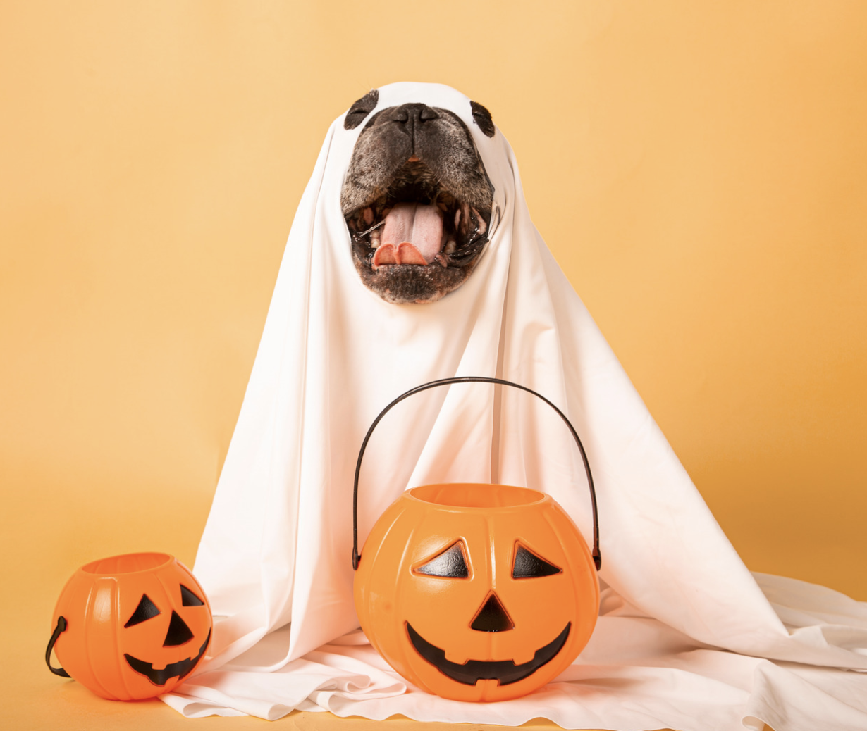 1st Annual Great Barrington Howl-O-Ween on Main Street