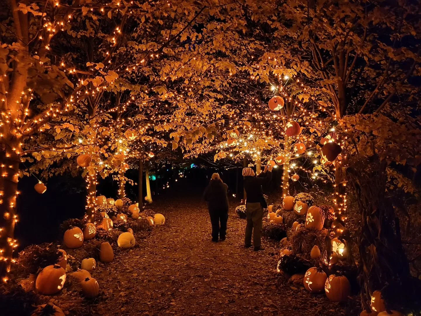 October 1 - 31: The Incredible Naumkeag Pumpkin Show