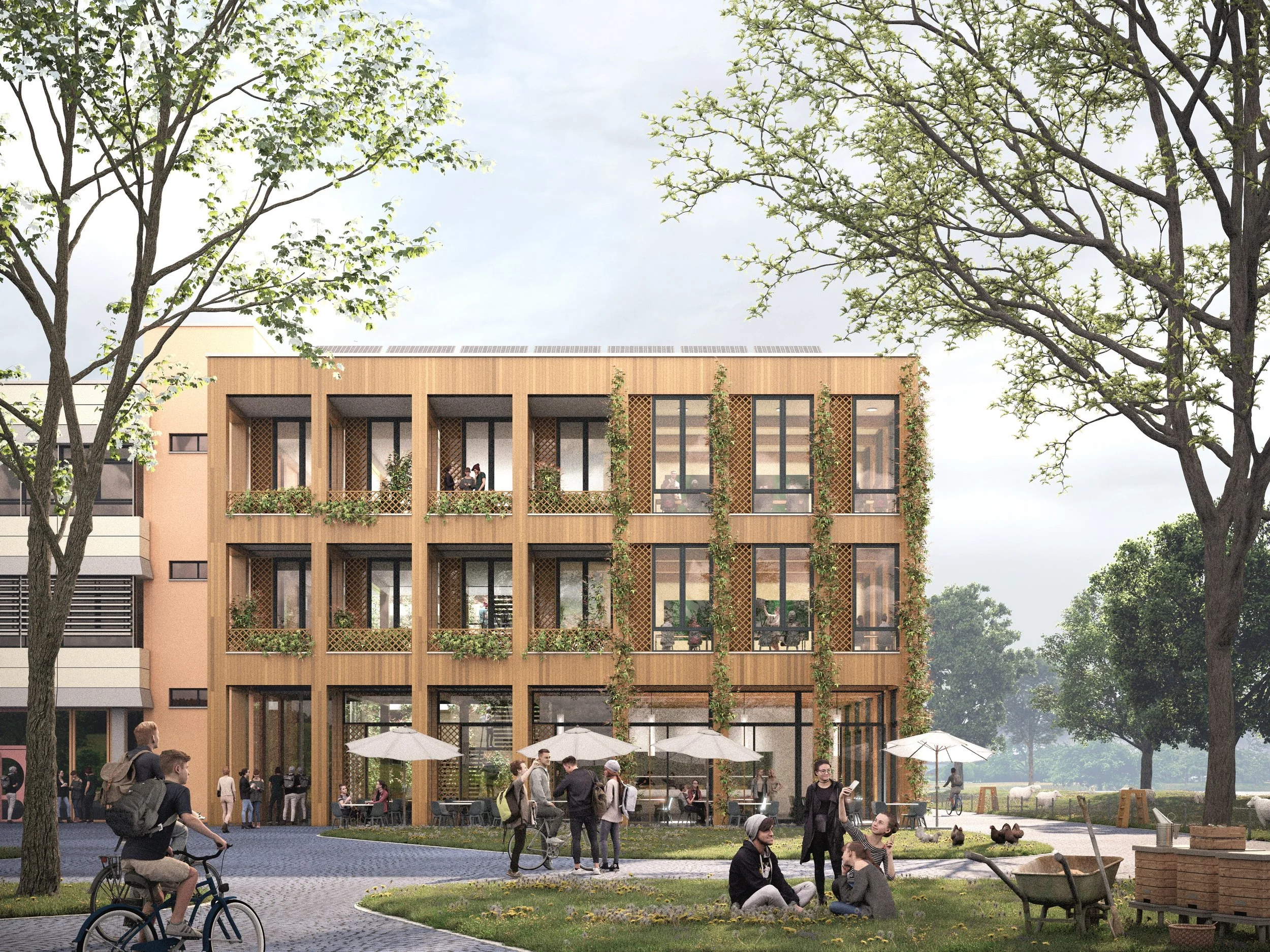 Schulcampus Gaggenau, 1. Preis