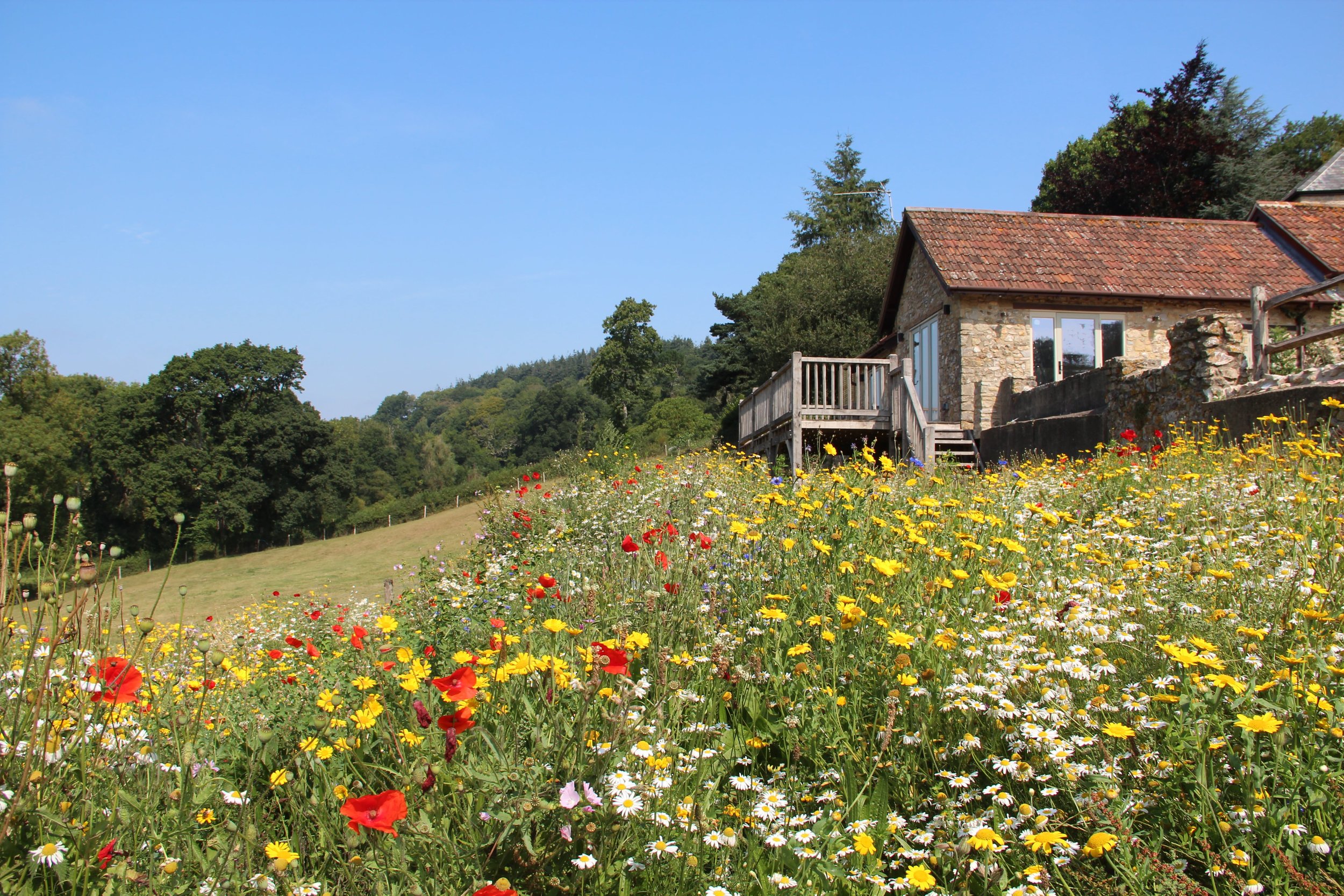 stylish_devon_cottage-min.jpeg