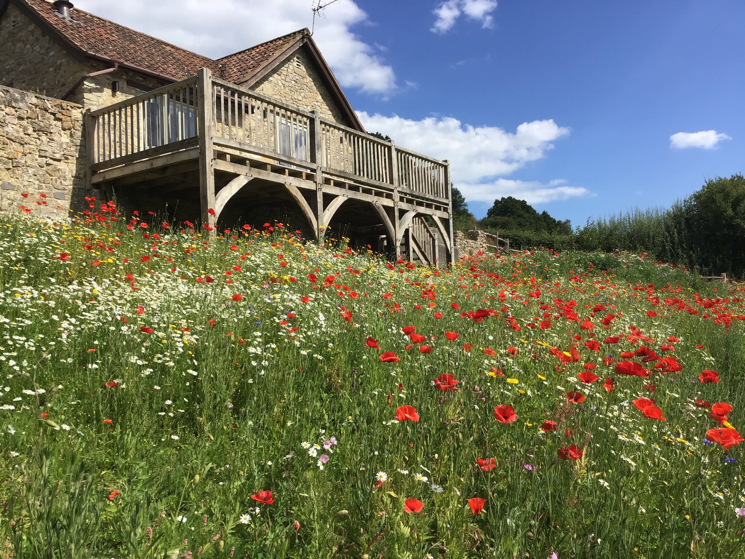 old_cow_byre_dorset-min.jpeg