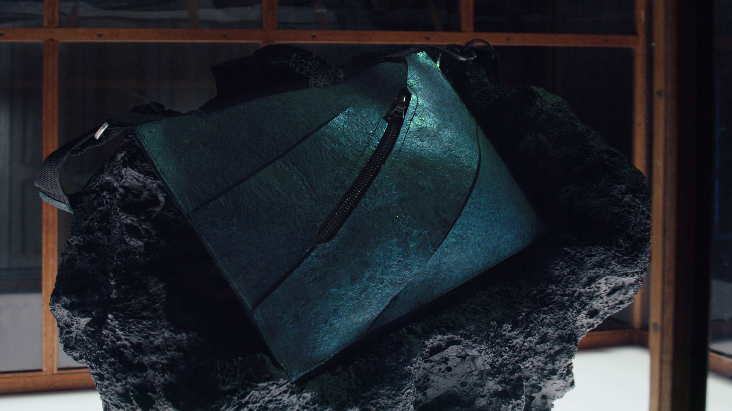 T-Rex bag 4.jpg