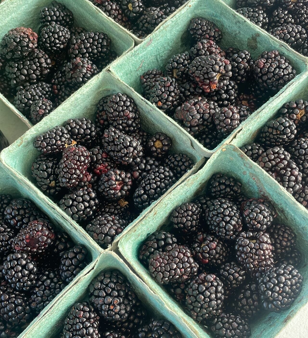 Highway 19 brought the very first of this year&rsquo;s BLACKBERRIES!! 🥰

There are only a few baskets. COME EARLY SUBSCRIBERS!! 🫶

White Rock Market opens at 8am!!!