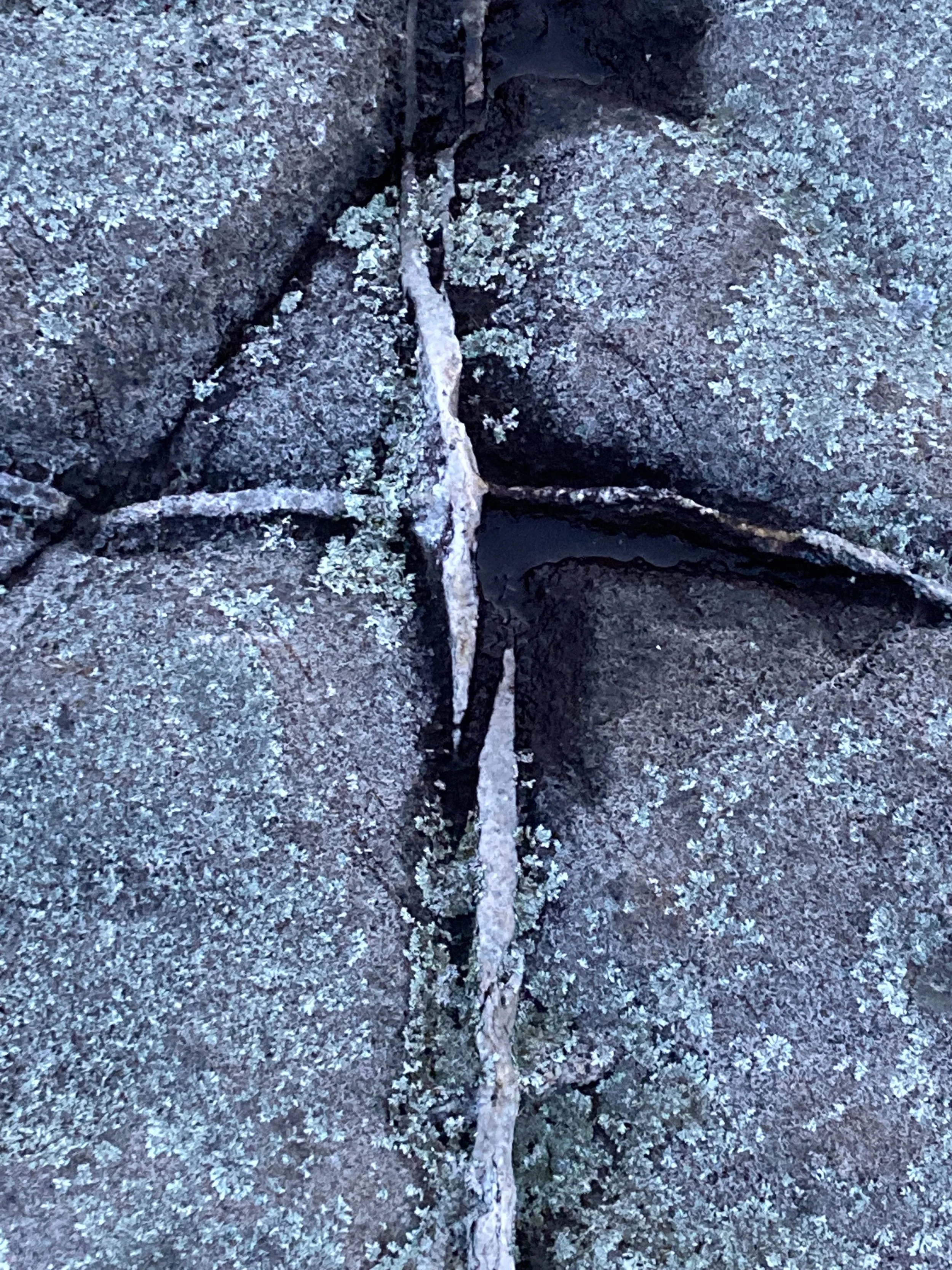 Gray Island good friday