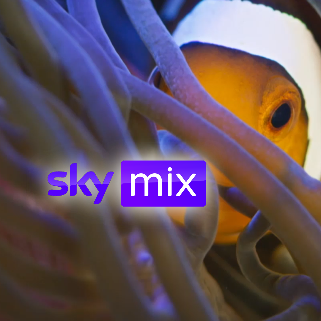 Promo: Wonders of the Deep