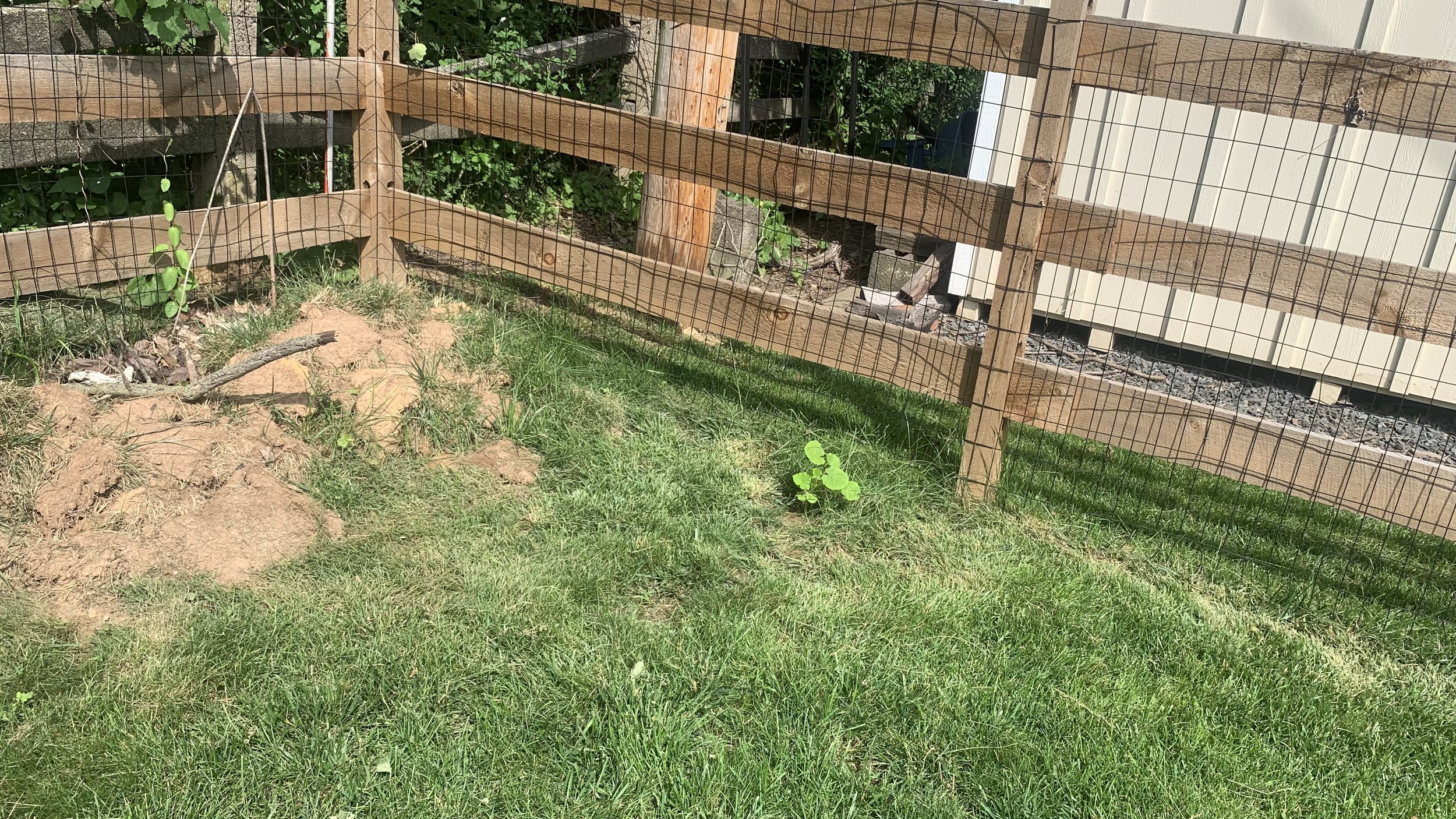 IMG_7162.jpeg