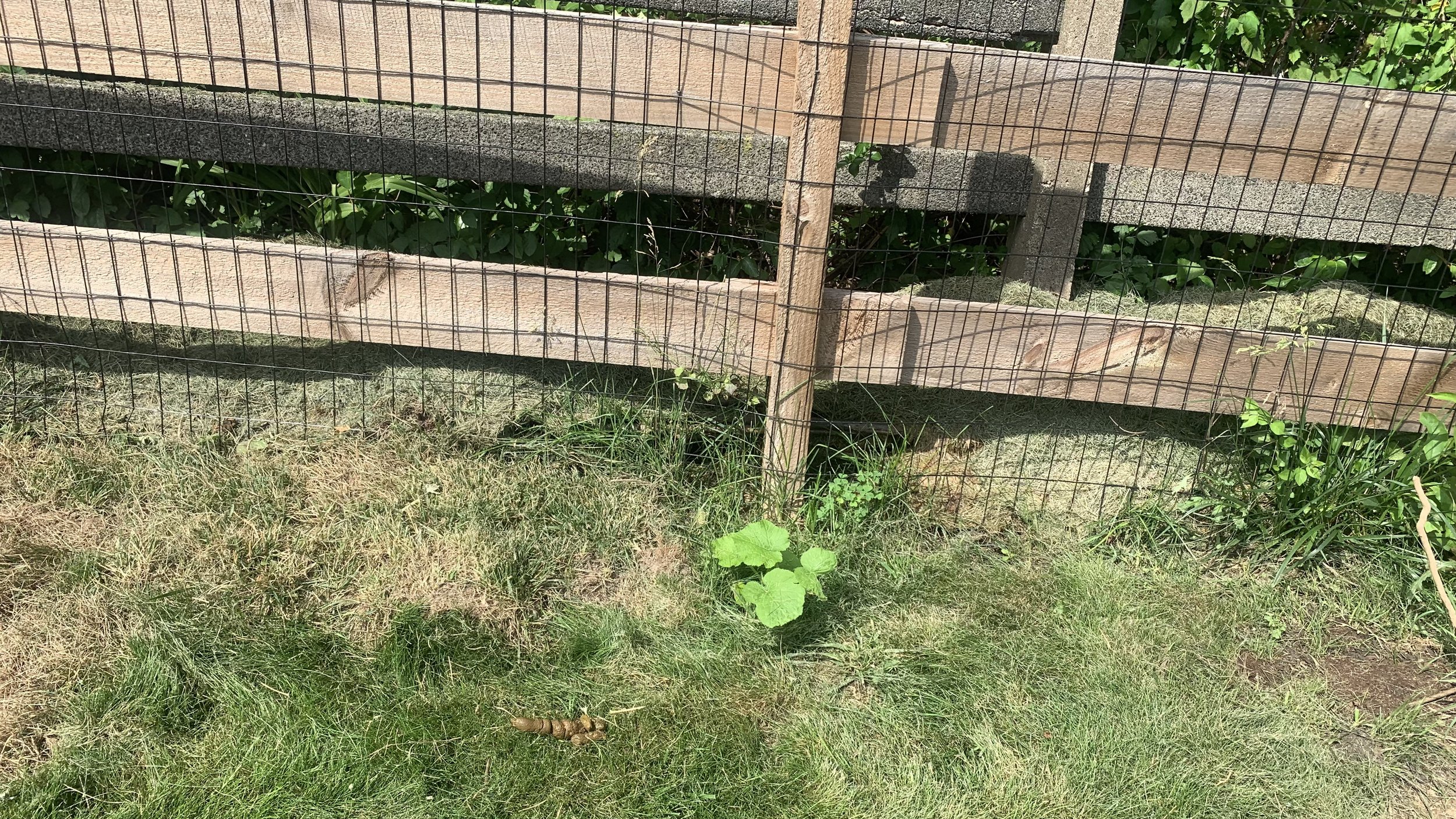IMG_7163.jpeg