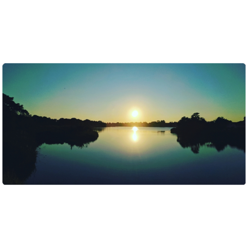 7532c1cf-2b9a-4c01-9dae-99521d5f2378.png