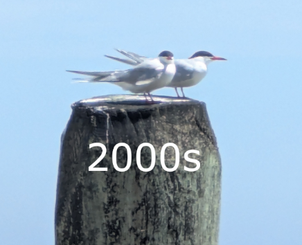 Screenshot 2025-05-25 080923.png