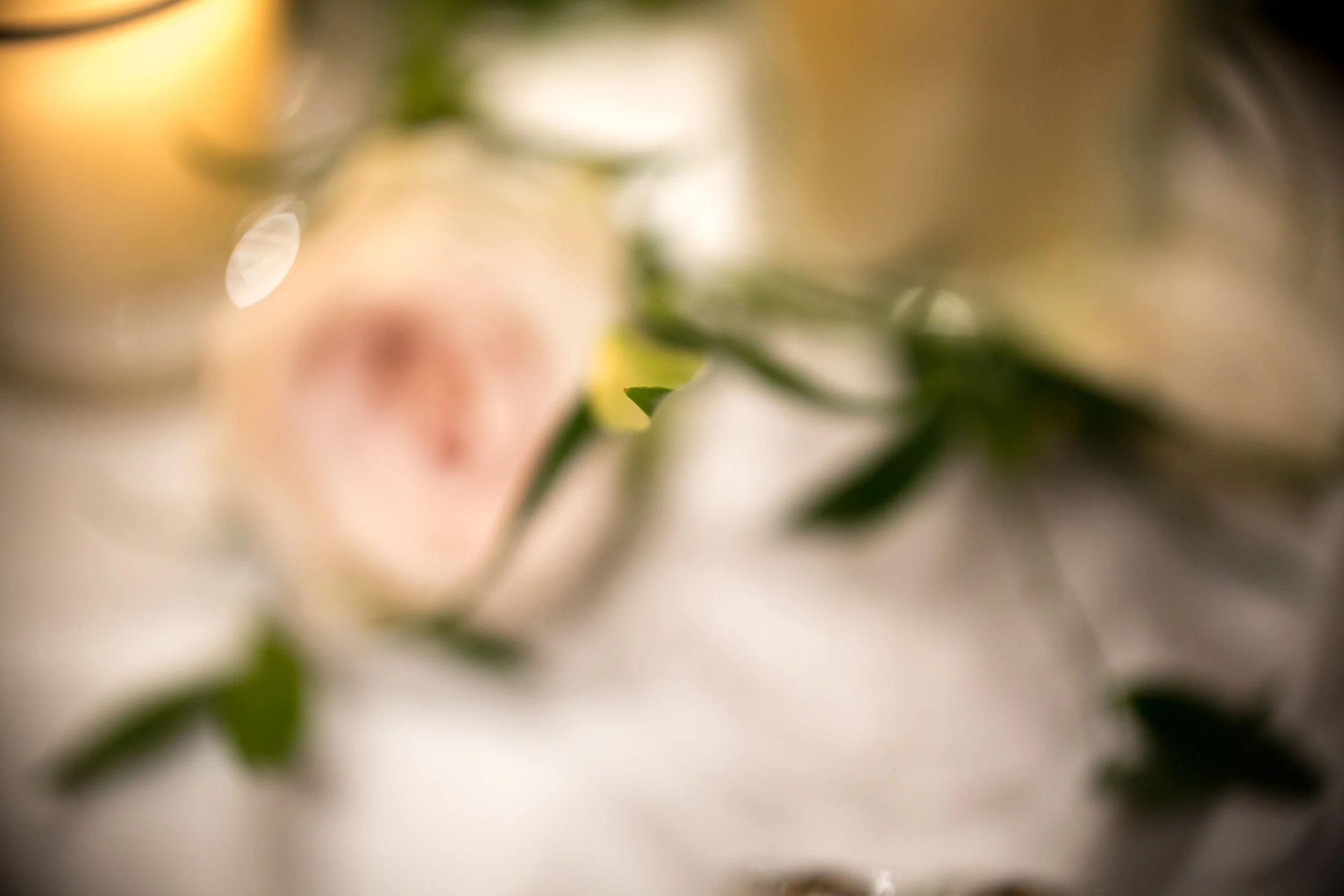 wedding photography, chicago wedding photographers, bridal portrait, newberry library weddings