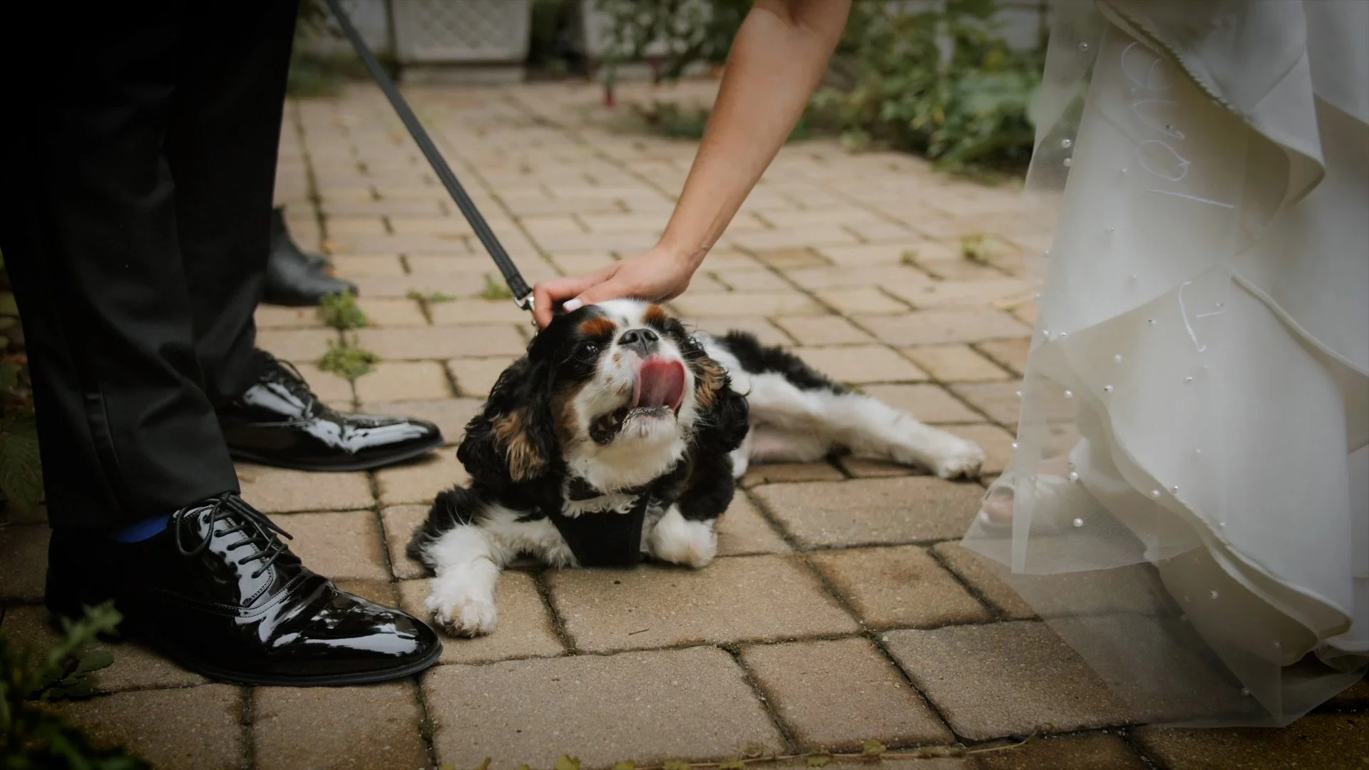 sam and mike first fram wedding video.jpg