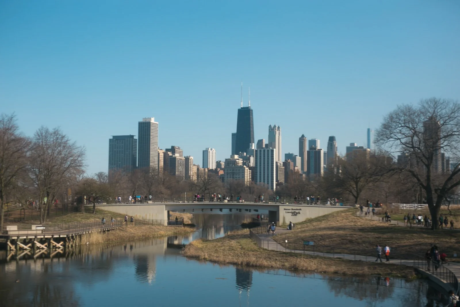 Chicago skyline view from Lincoln Park cafe Brauer wedding photographer cost