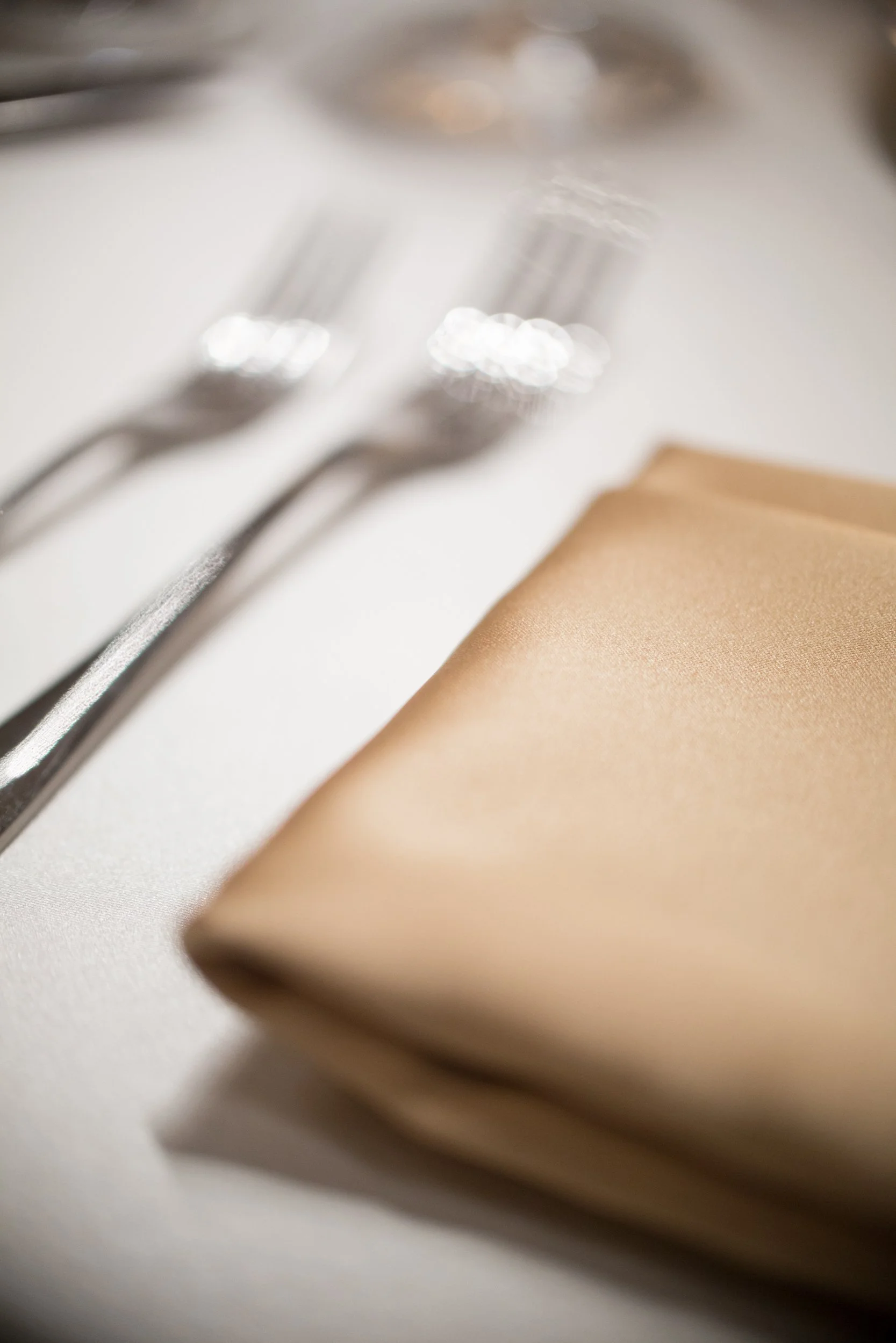 wedding photography, chicago wedding photographers, bridal portrait, newberry library weddings