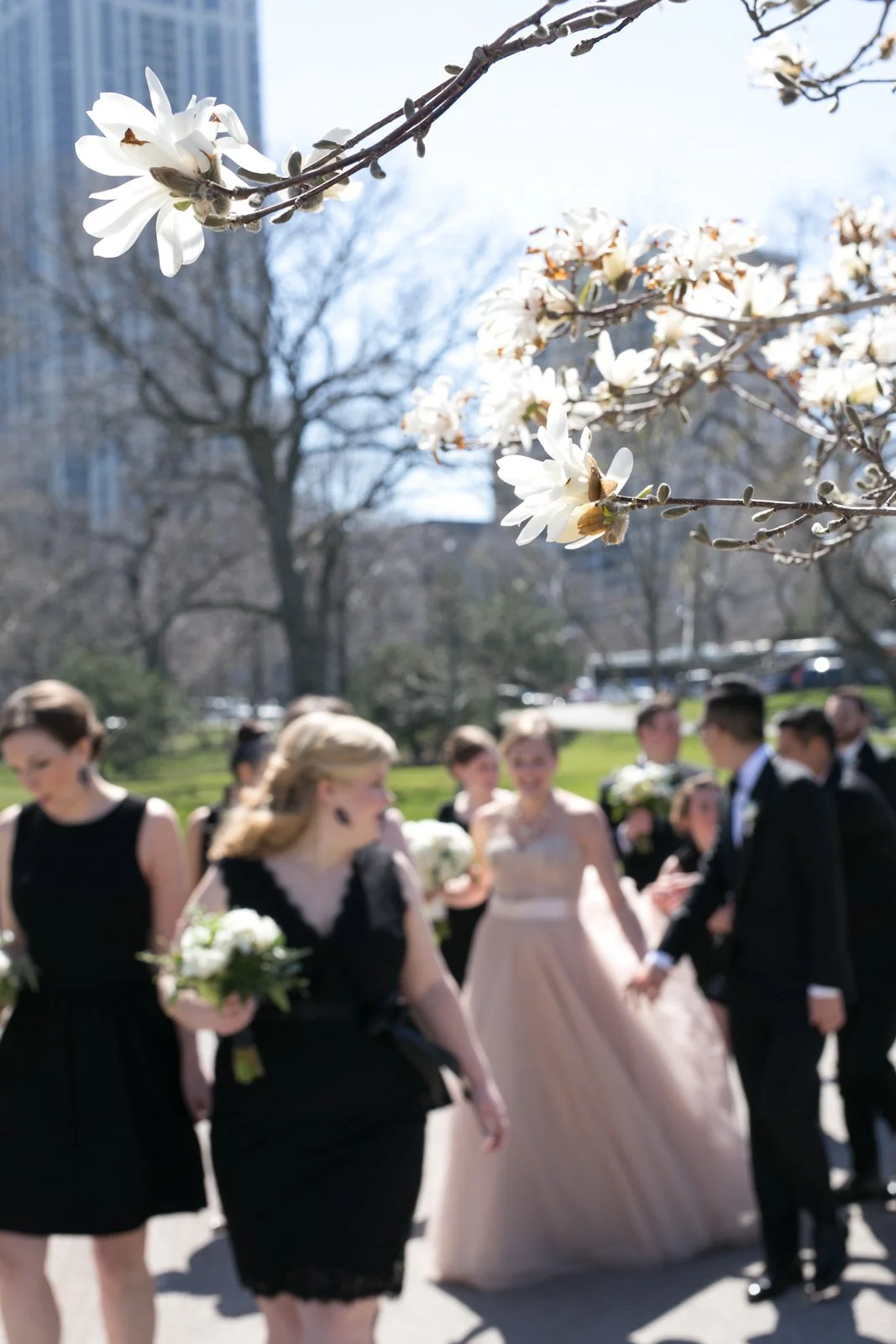 bride and groom spring wedding with bridal party wedding photography
