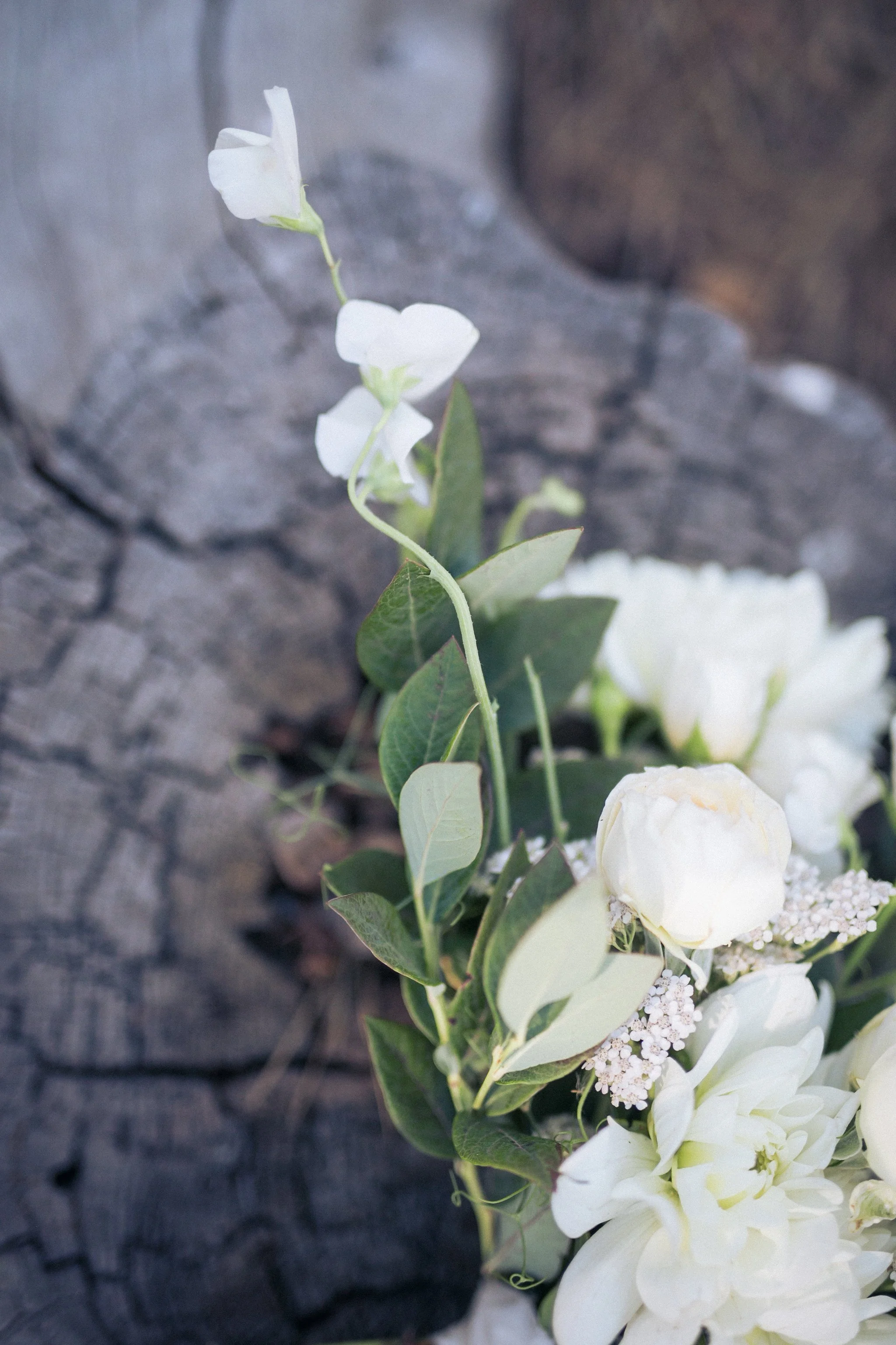 wedding photographer