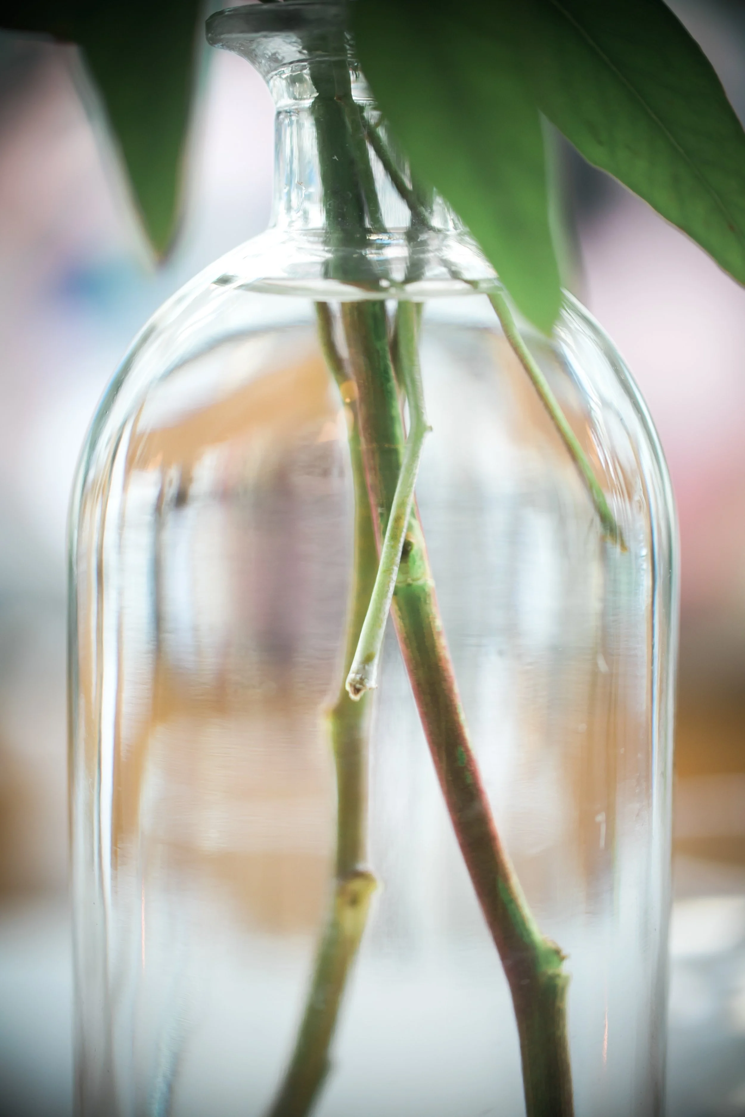 wedding photography, chicago wedding photographers, bridal portrait, Green house loft