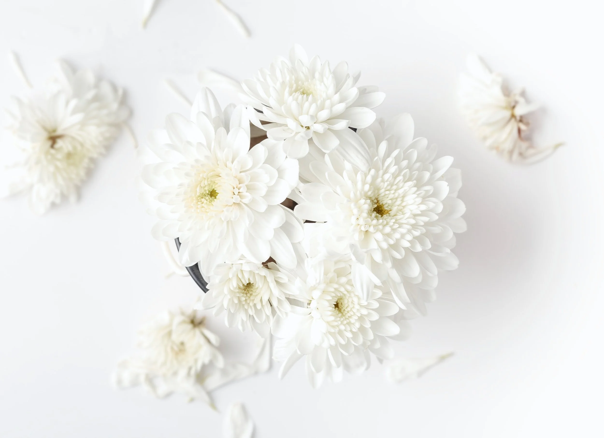 Chicago wedding, Chicago wedding photographer. Chicago wedding photography, wedding videography, wedding videographer, Chicago videographer, wedding Chicago,