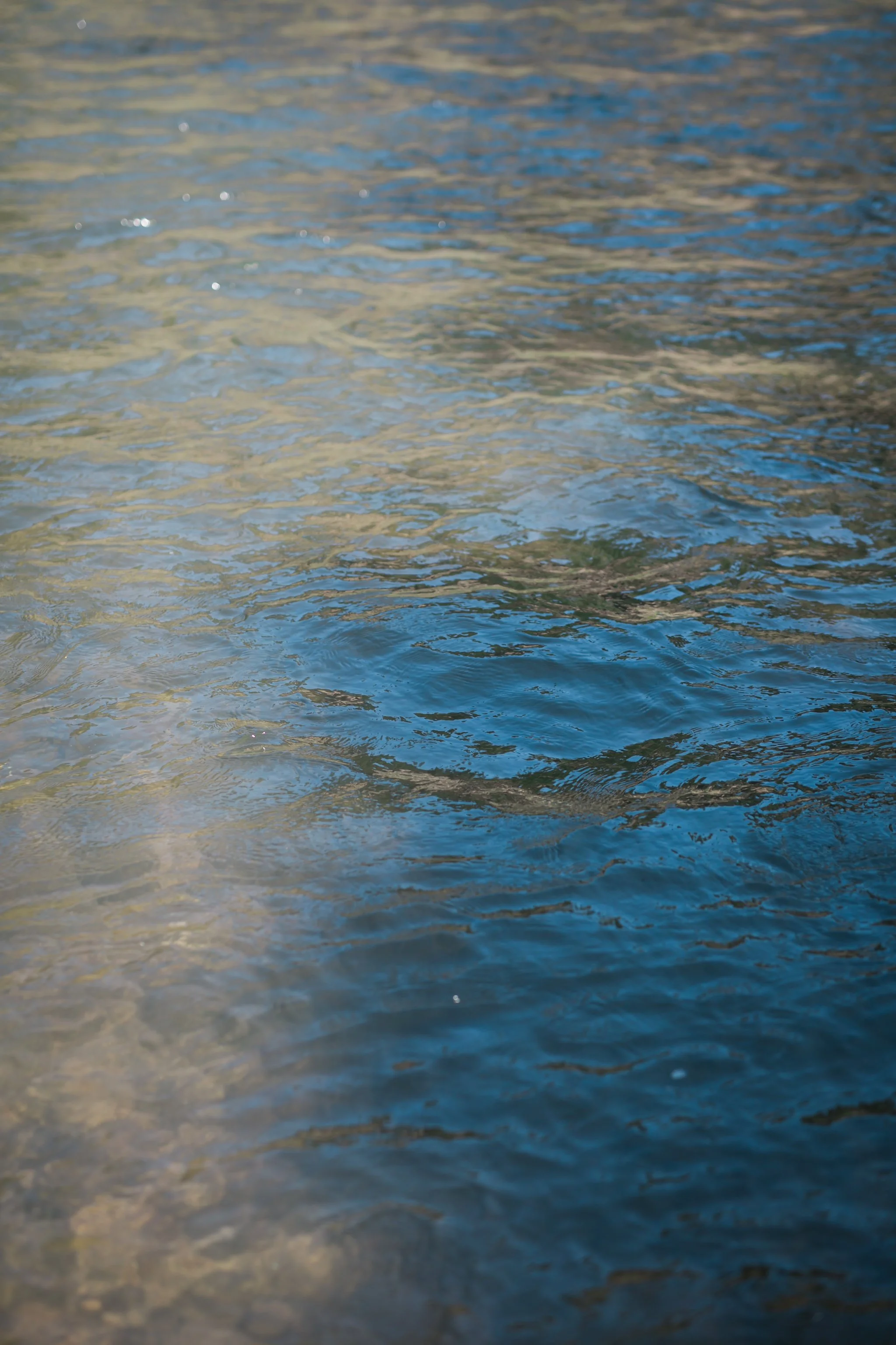 wedding photographer 