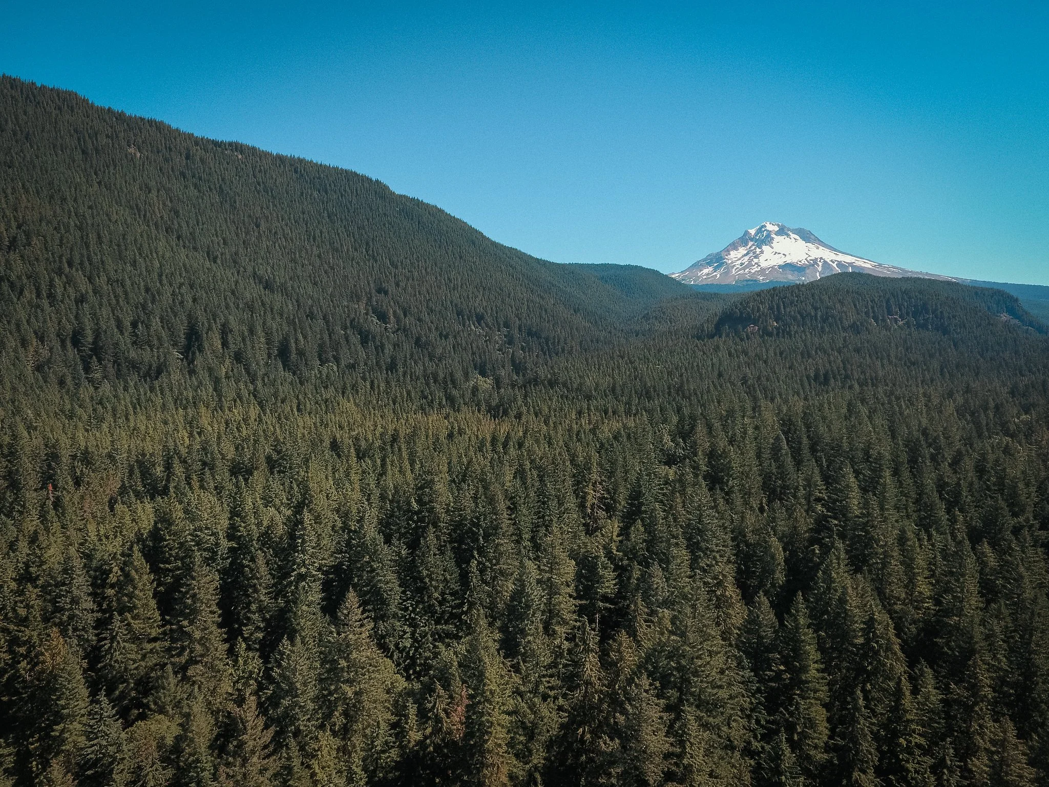 wedding photographer