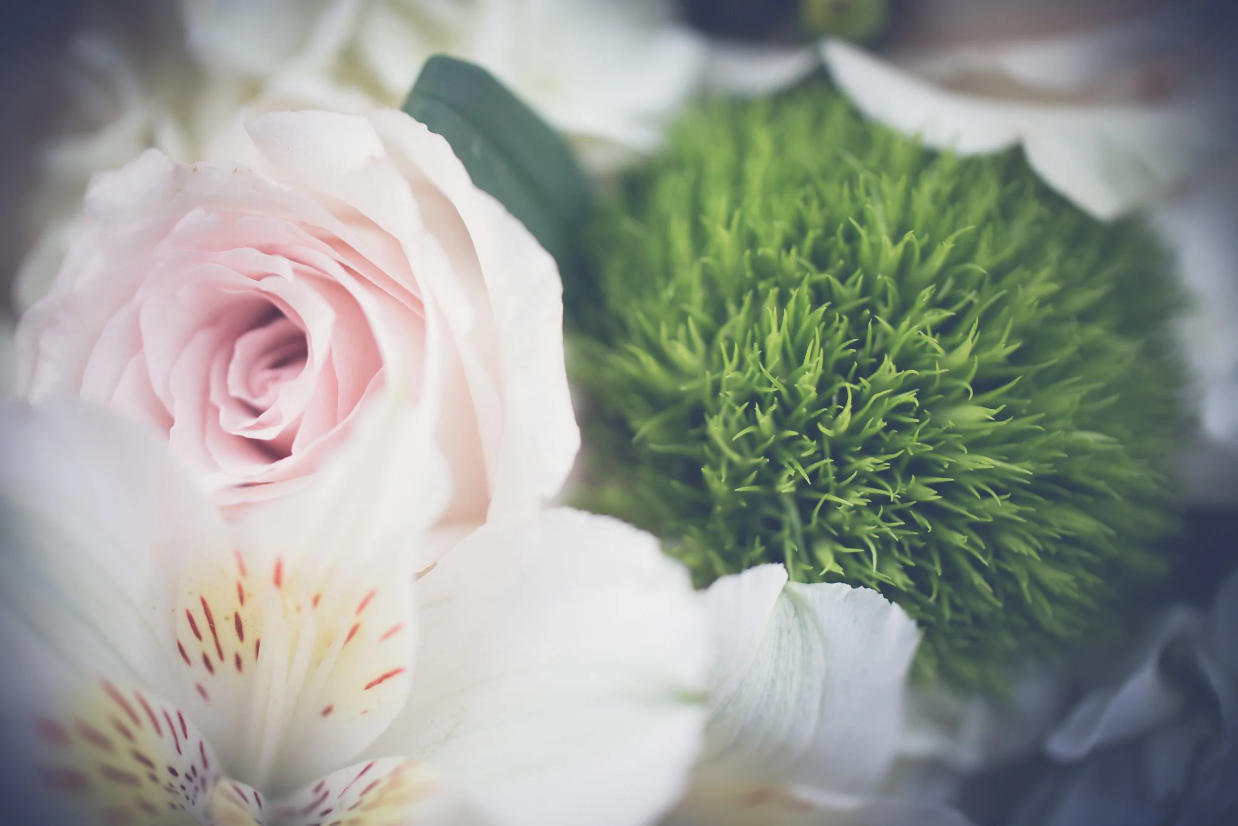 wedding photography, chicago wedding photographers, bridal portrait, newberry library weddings