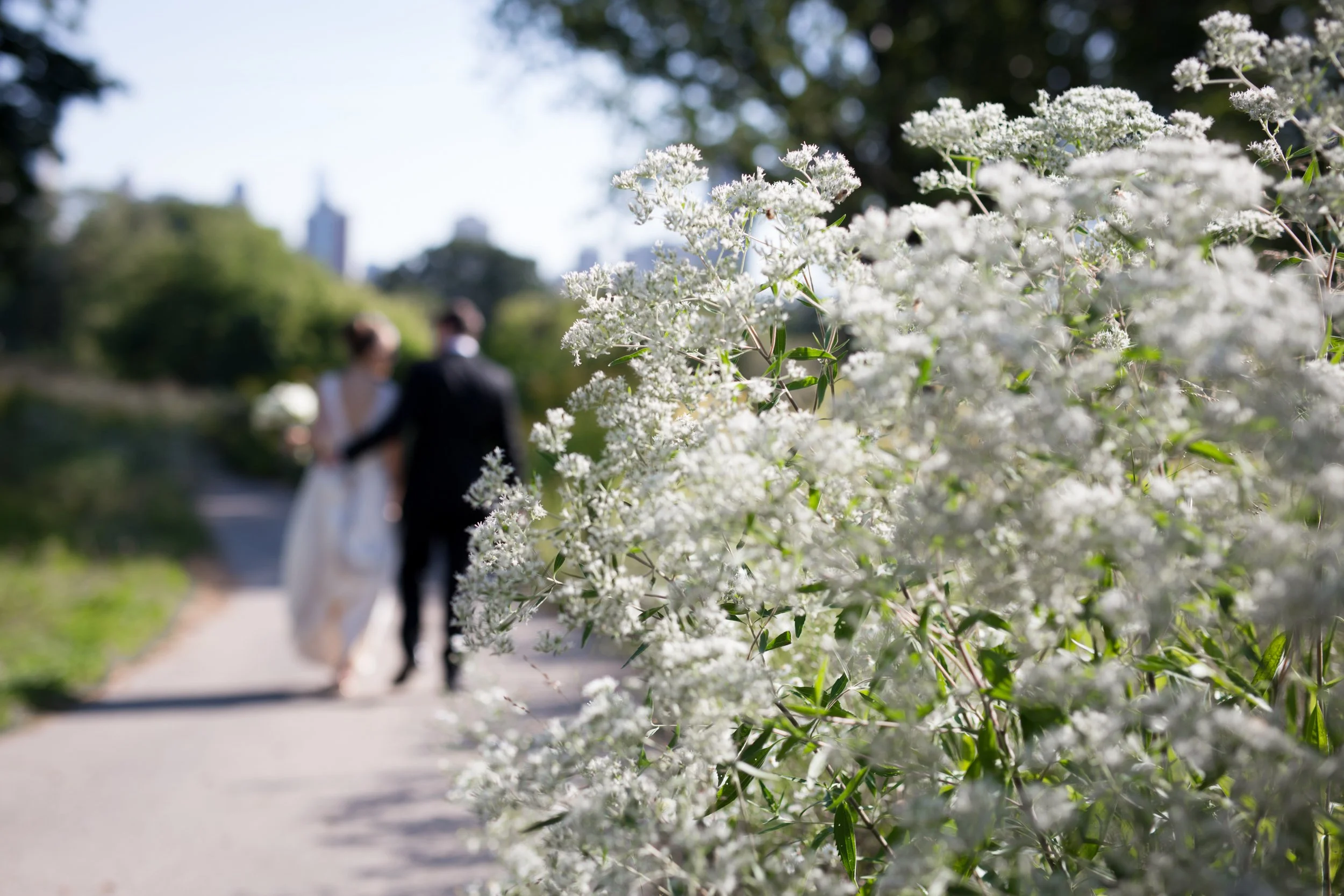 wedding photography, chicago wedding photographers, bridal portrait, newberry library weddings