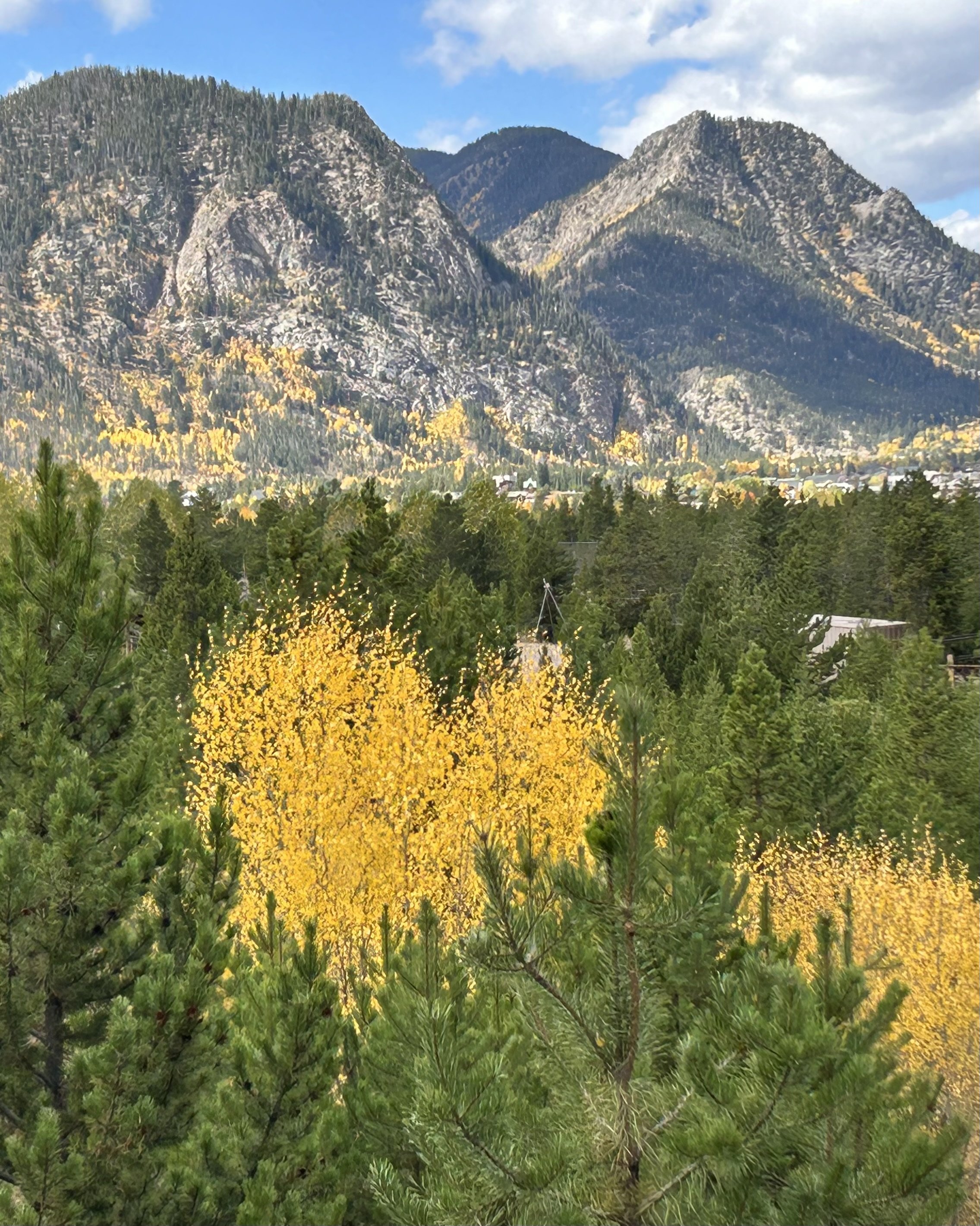 A scenic landscape with green pine trees in the foreground, vibrant yellow autumn trees in the midground, and rugged mountains with patches of yellow and green trees under a partly cloudy sky in the background.