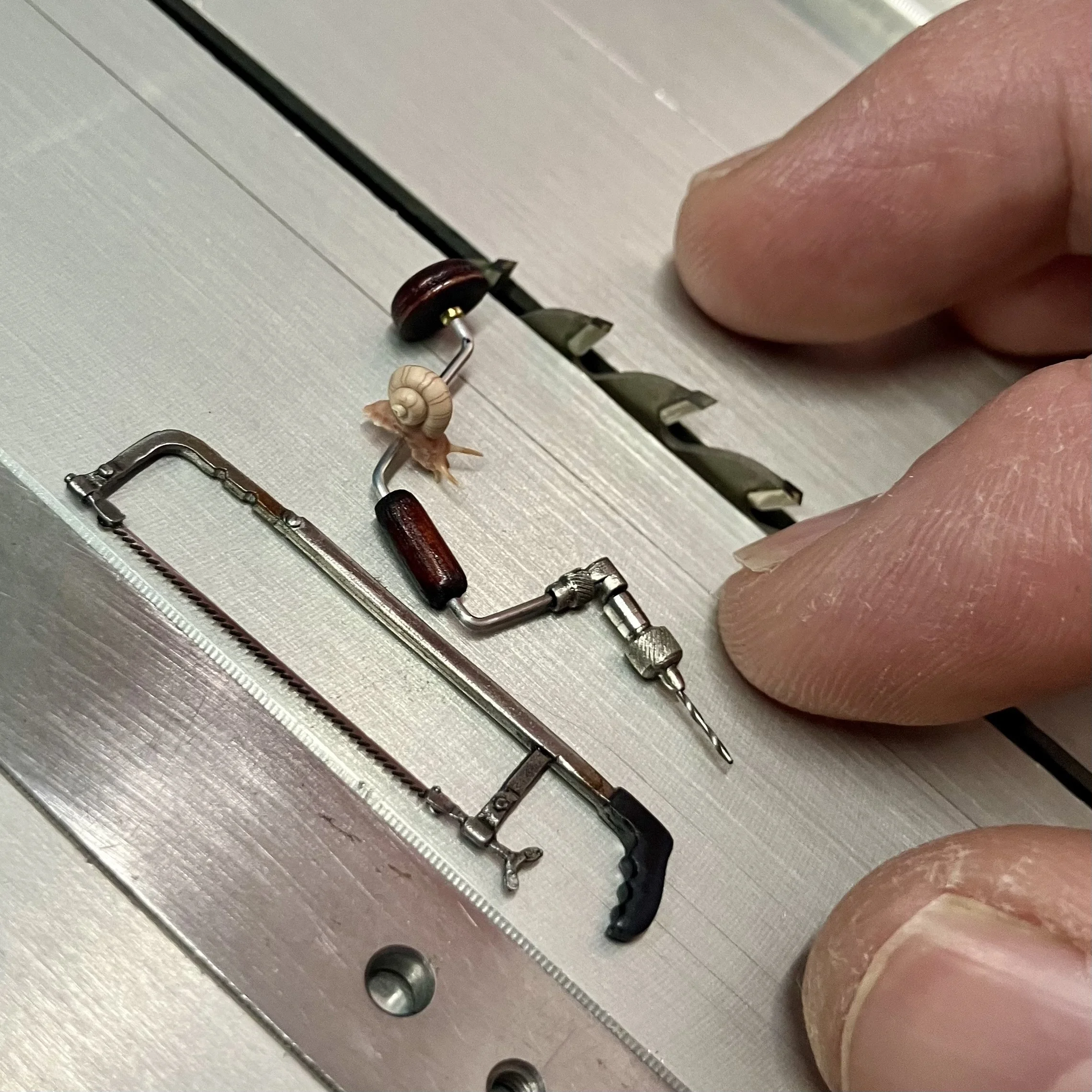 Tiny Tools, Miniature Rooms, an Exquisitely Small Snail…