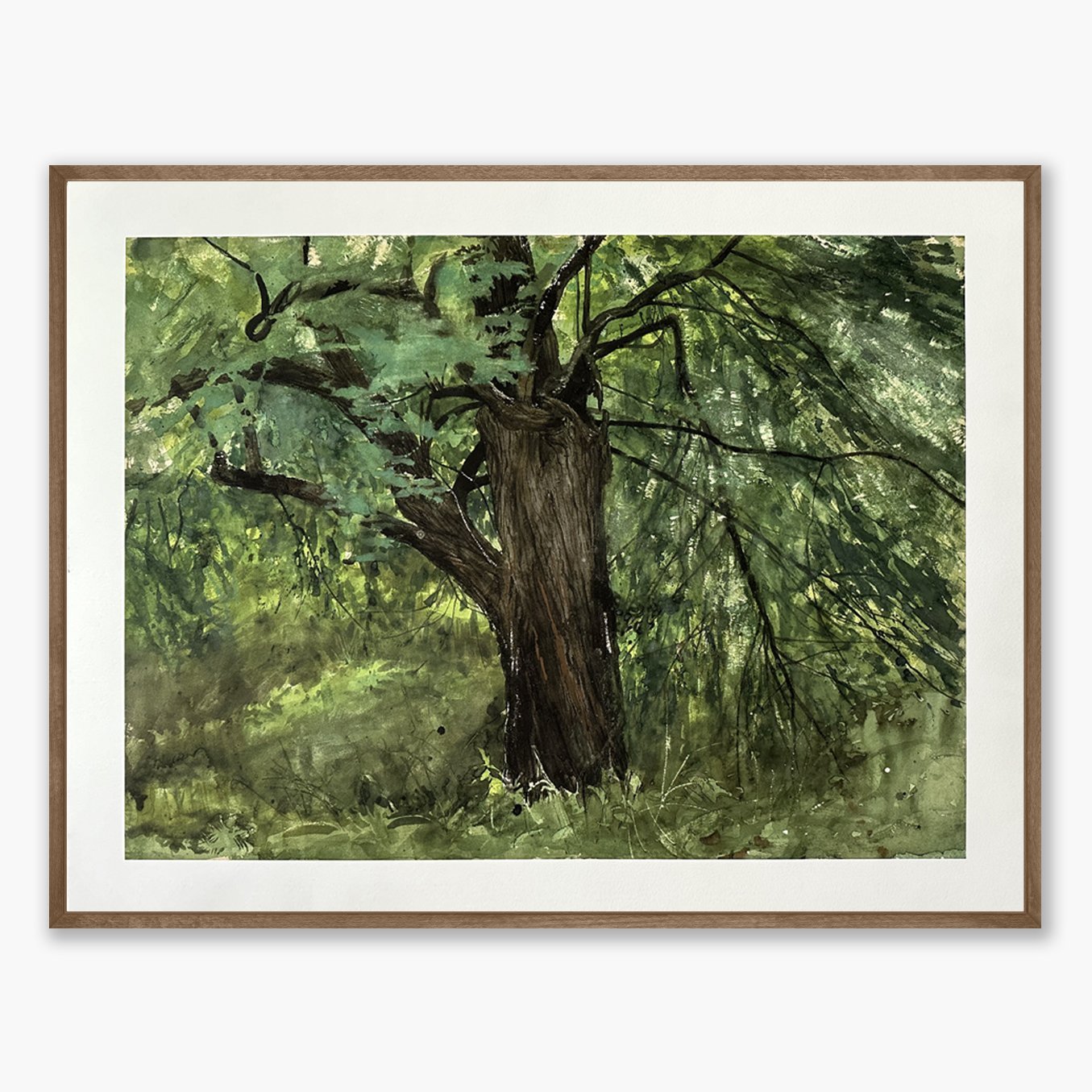 Barn Maple