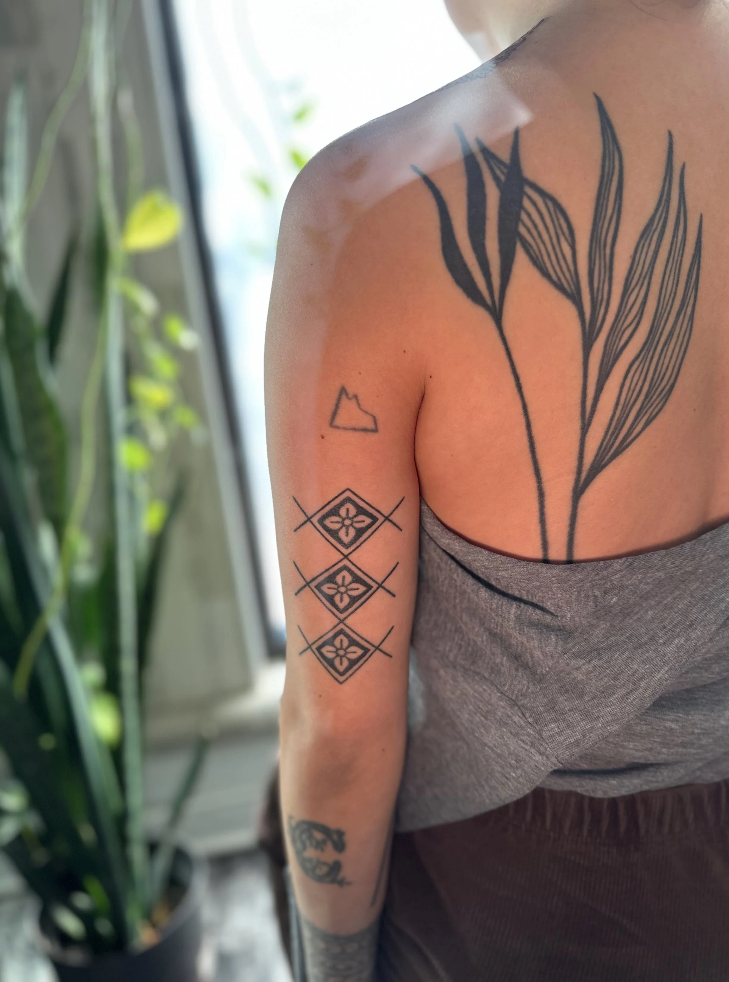 Close-up of a person's shoulder and arm with tattoos, including a large, black floral design on the shoulder and smaller geometric designs on the upper arm, with a background of indoor plants and natural light.