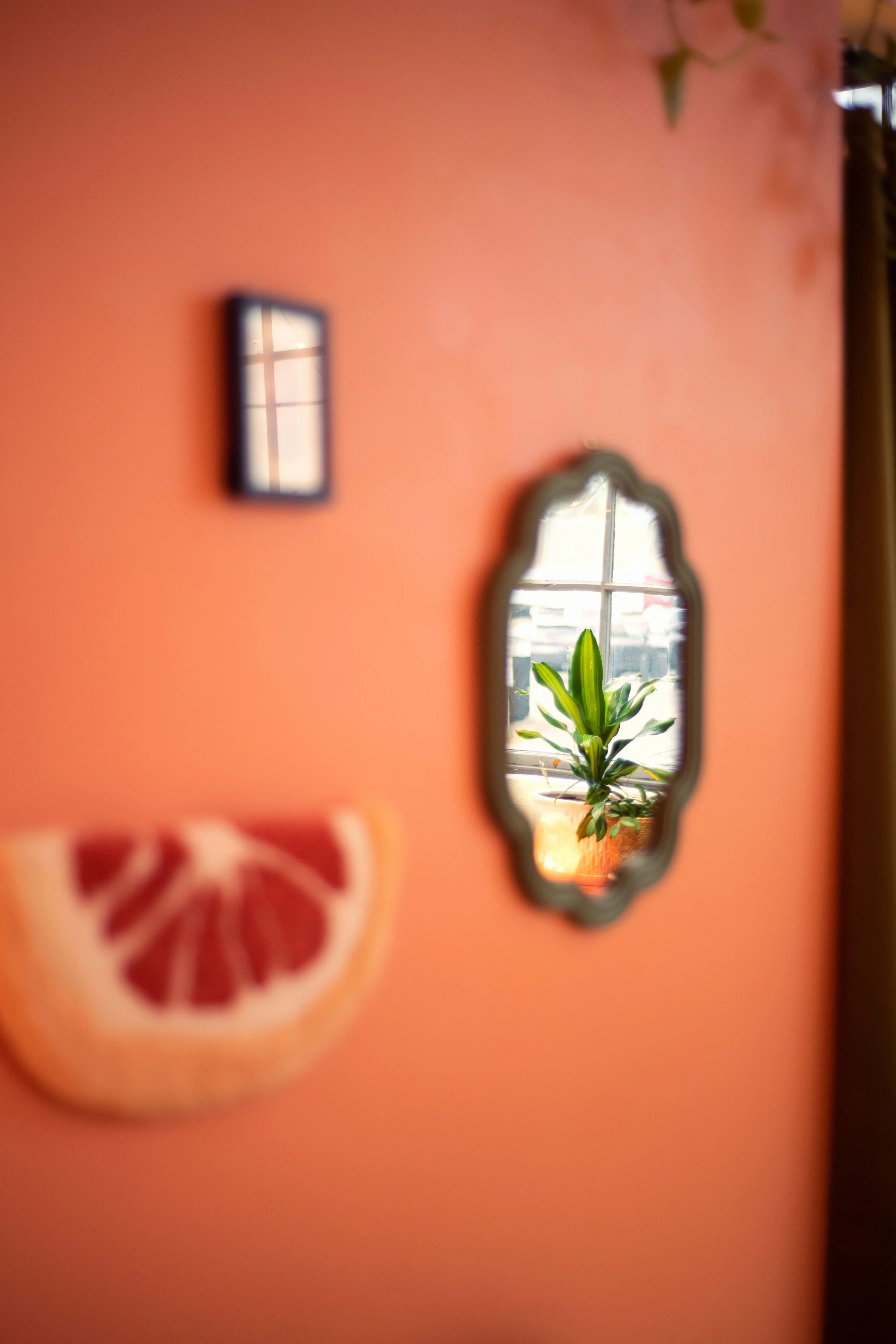A pink wall with a small framed picture and a mirror reflecting a potted green plant on a windowsill.