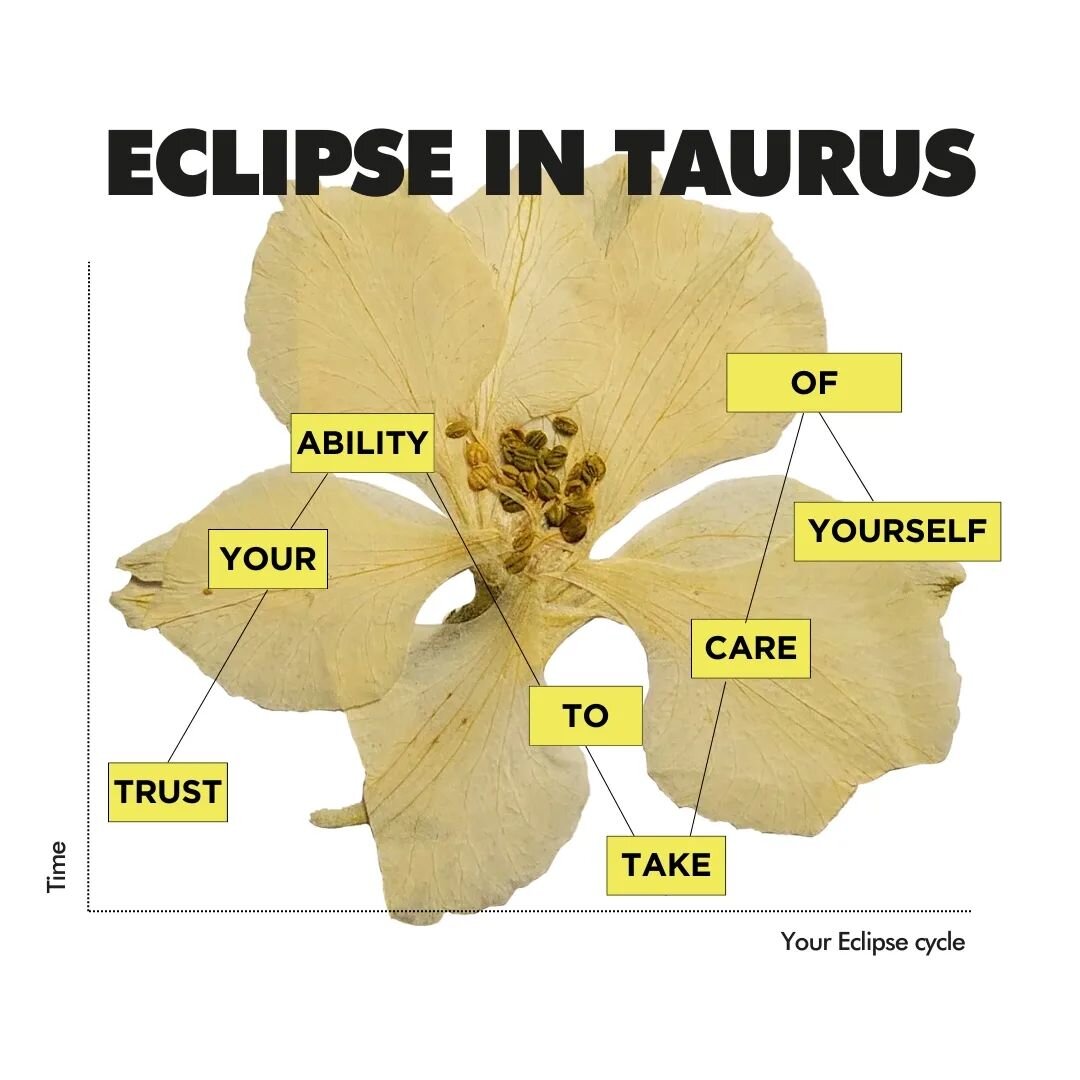 LUNAR ECLIPSE IN TAURUS: The last chapter of a story about presence, finances and self-reliance.

Ooooof.

I also wrote a long newsletter that you will find in your inbox as usual. Write me a DM if you would like to receive a copy.

xo

#Eclipse #Lun