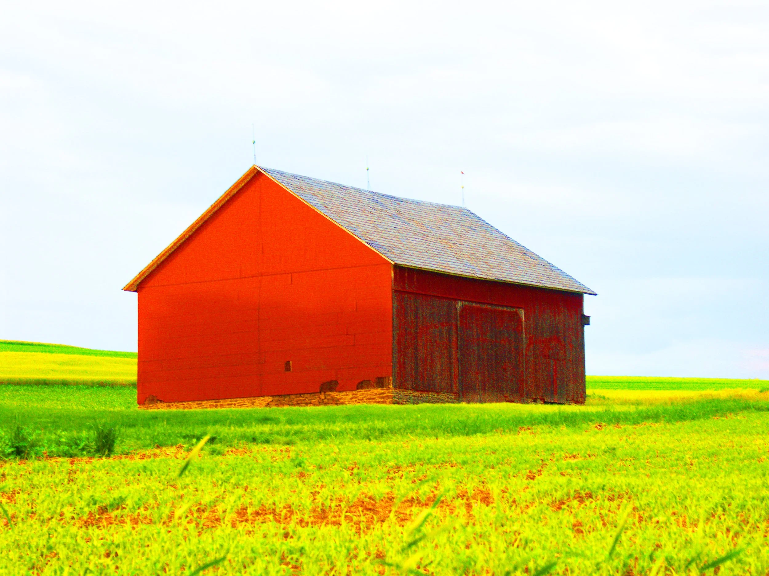 Barns — Urban Meadow Art