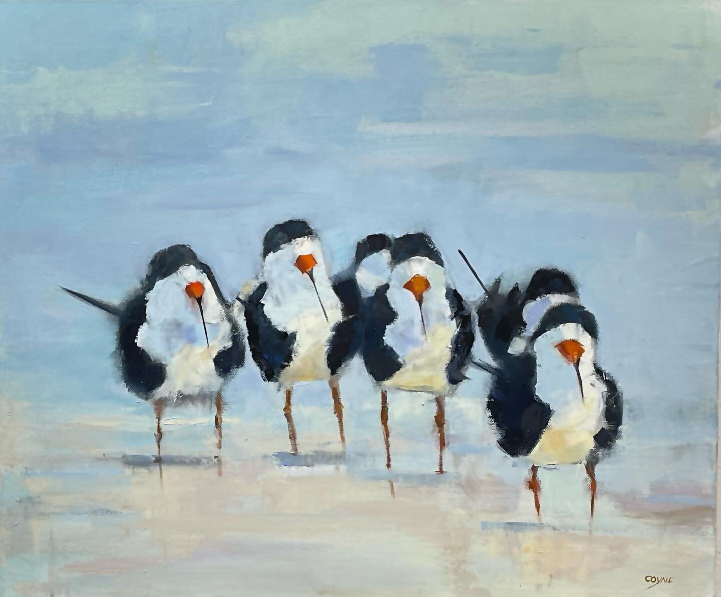 &lsquo;Skimmer Dippers&rsquo;. Love these funny birds. #floridabirds #beachbirds #skimmers #flockofbirds #impressionisticpainting