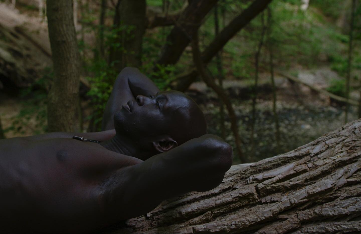 New colour work for &ldquo;Daydreaming&rdquo; - a visualized poem I feel we have been collectively yearning for. Swipe through to see pallet I was honoured to energize. 

Poem by: Gat Kong
Music: Julian Miller
Editor/Stylist: Richard Ashman
Colourist