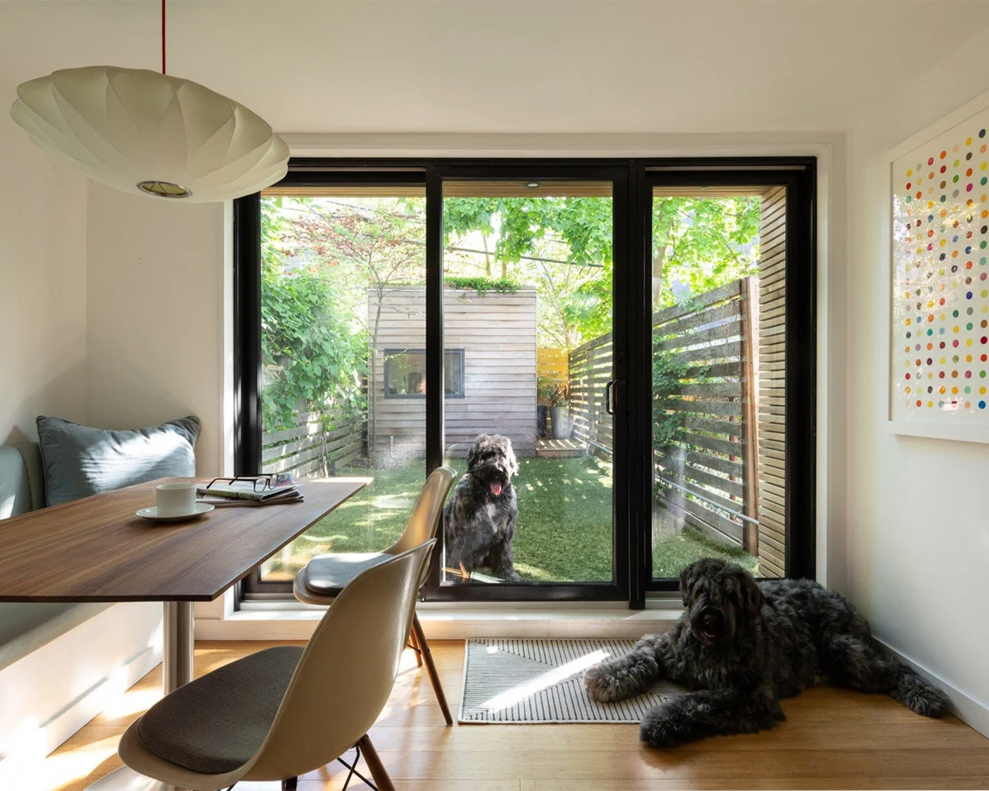 Final approval: granted. 🐾⁠
⁠
The addition on the primary floor of our own Park Slope townhouse was designed for one thing above everything else &mdash; connection to the rear yard. Light in the morning. The garden visible from your coffee cup. A ro