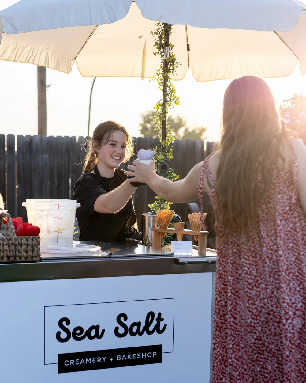 Ice Cream Cart — Sea Salt Creamery +
