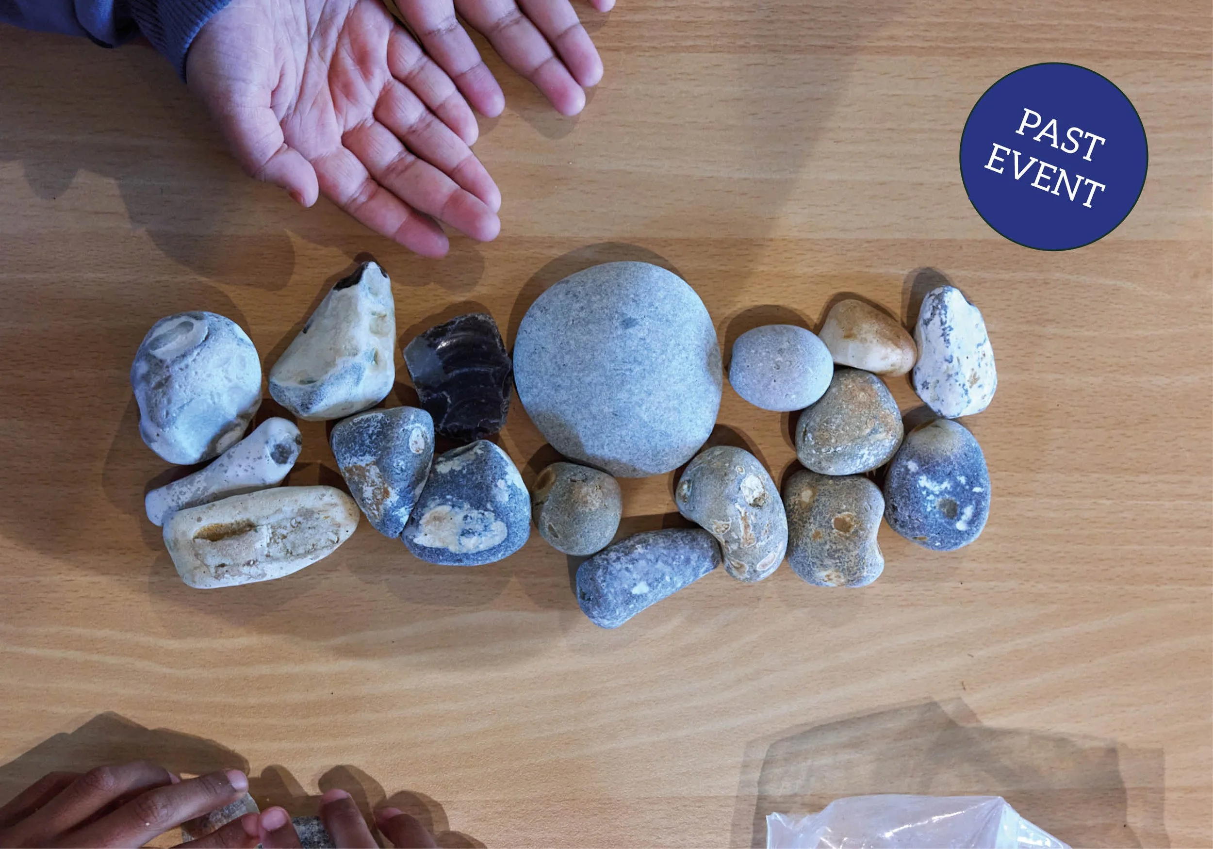 Creative Nature Walk & Art Workshop 