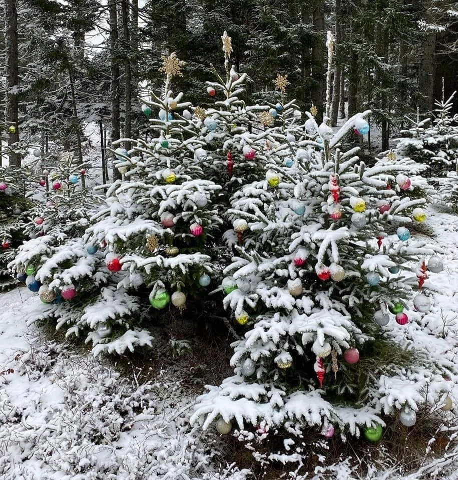 Town Calendar — Brooksville, Maine