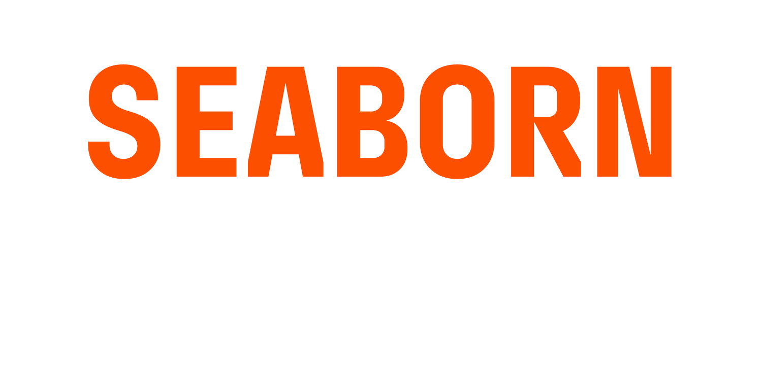 Seaborn Construction and Remodeling