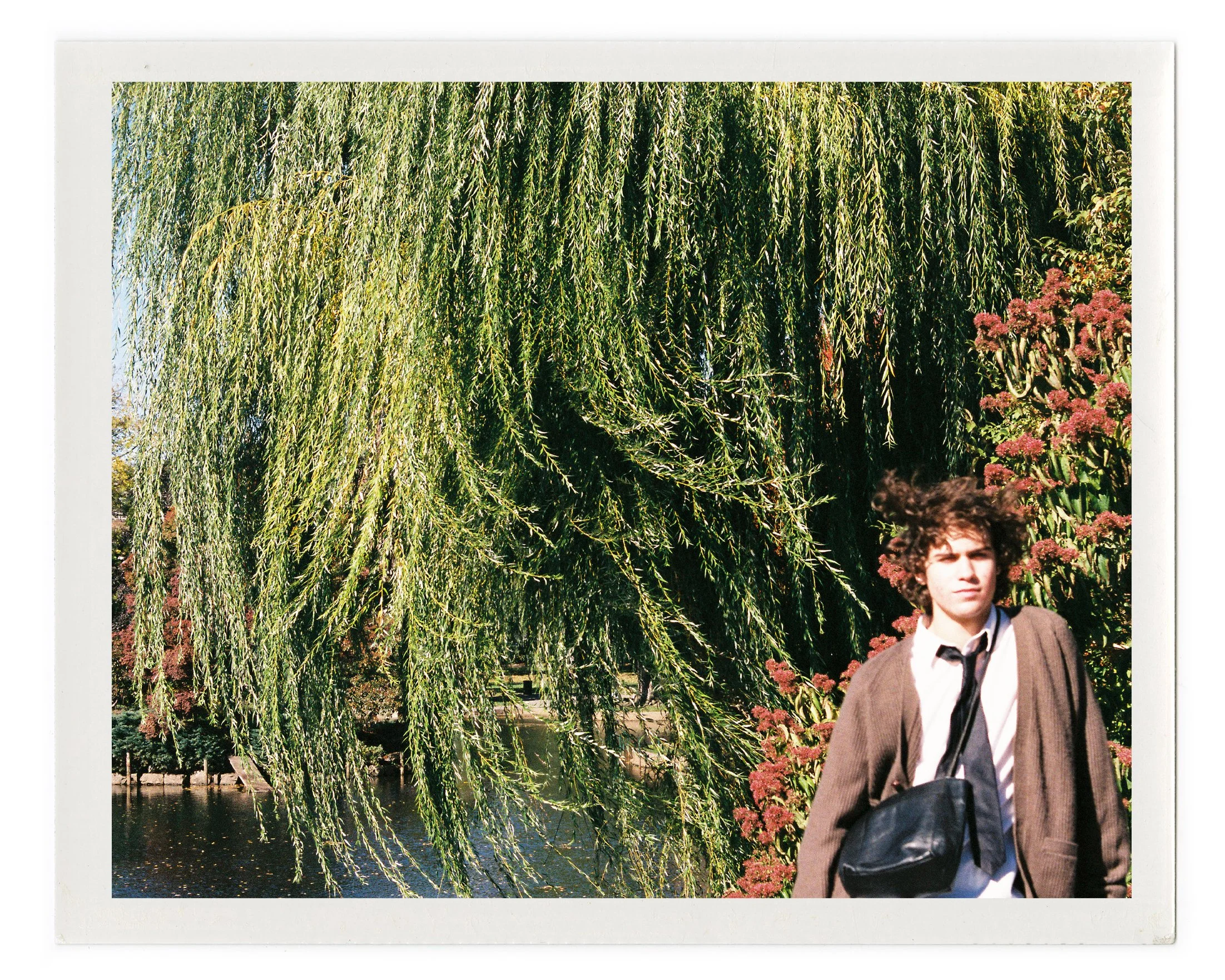 A young man with curly hair wearing a brown jacket, white shirt, and black tie, standing outdoors near a pond with a large green willow tree and flowering shrubs in the background.