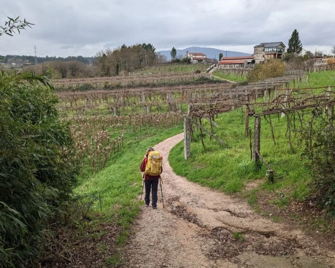 Compostelle 2026 - Chemin Portuguais