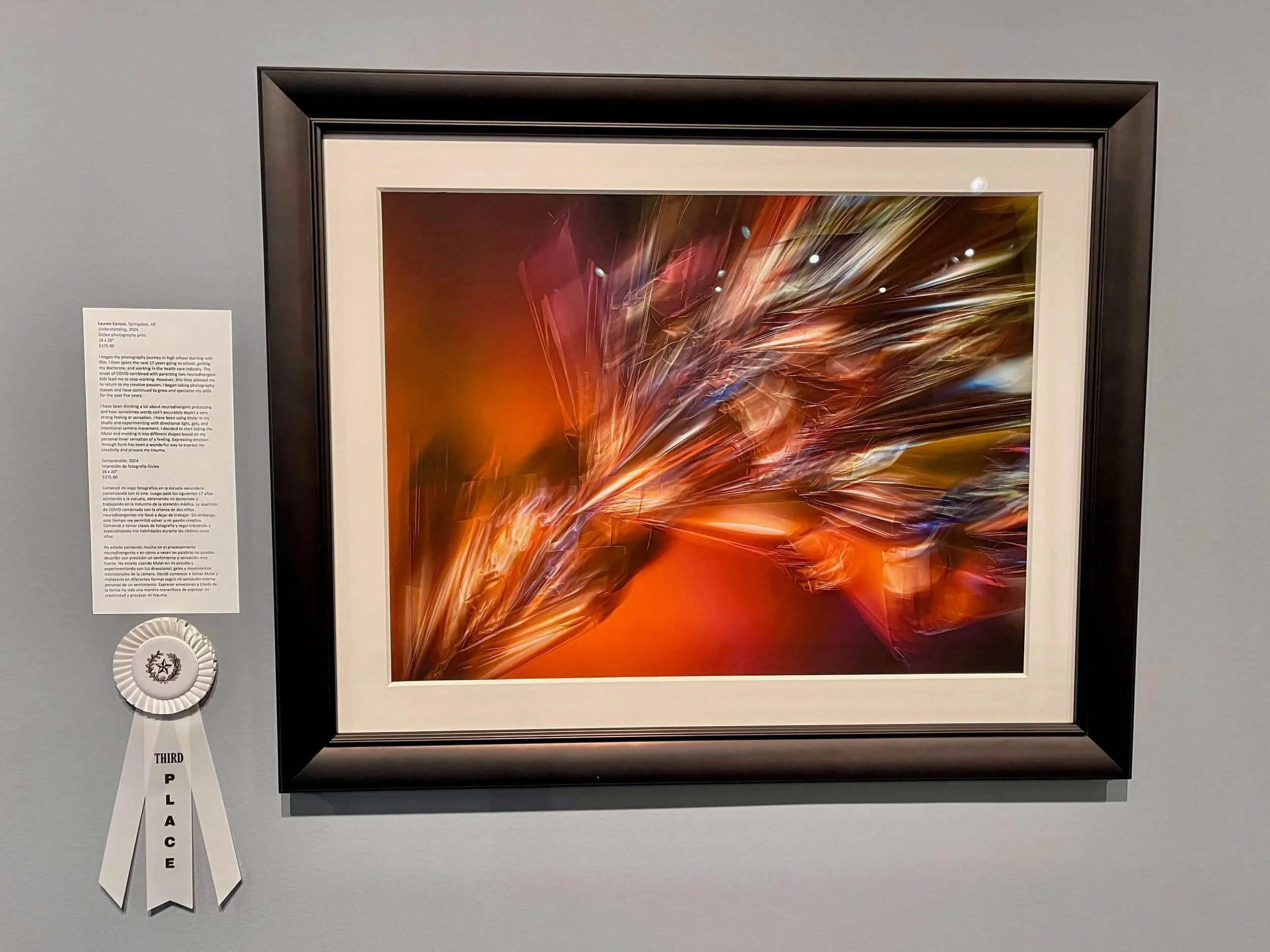 Framed abstract artwork with bright streaks of fiery colors on a dark background, displayed in an art gallery with a label describing it.