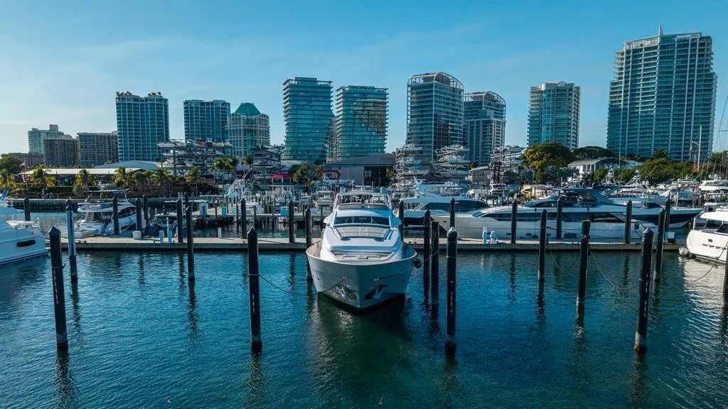 WhatsApp Image 2026-02-05 at 09.33.55.jpeg