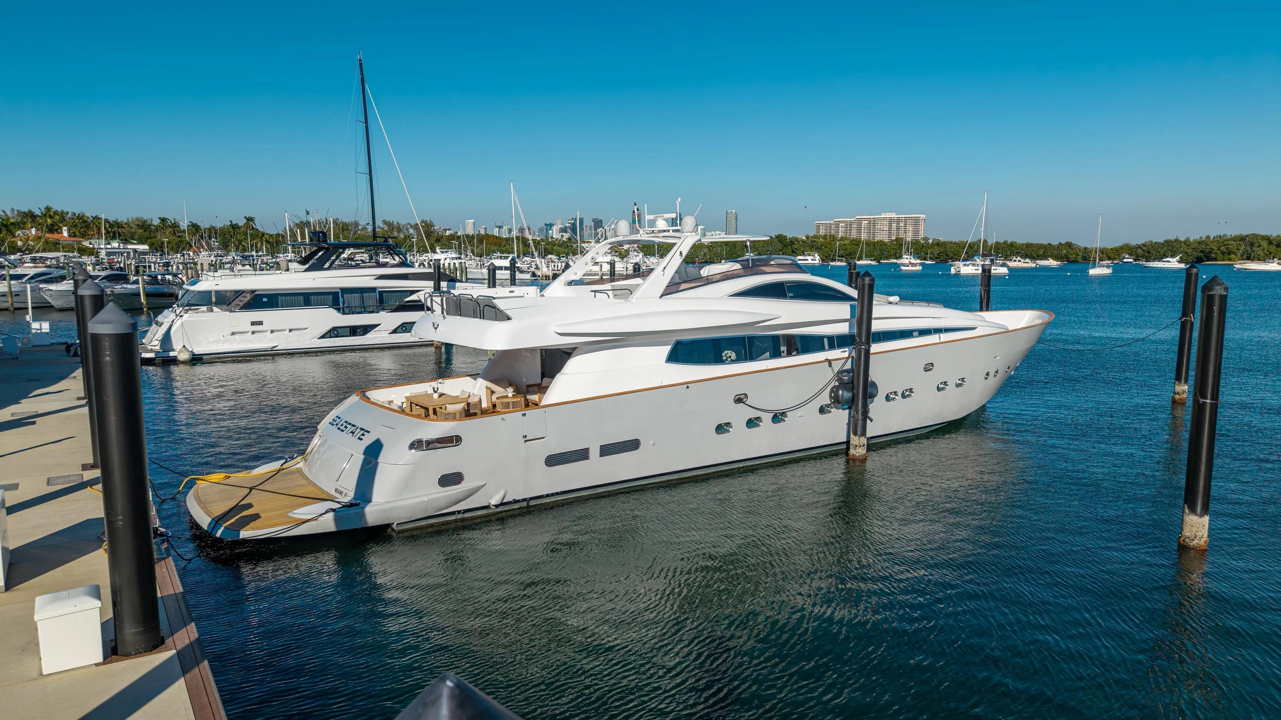 WhatsApp Image 2026-02-05 at 09.34.06.jpeg